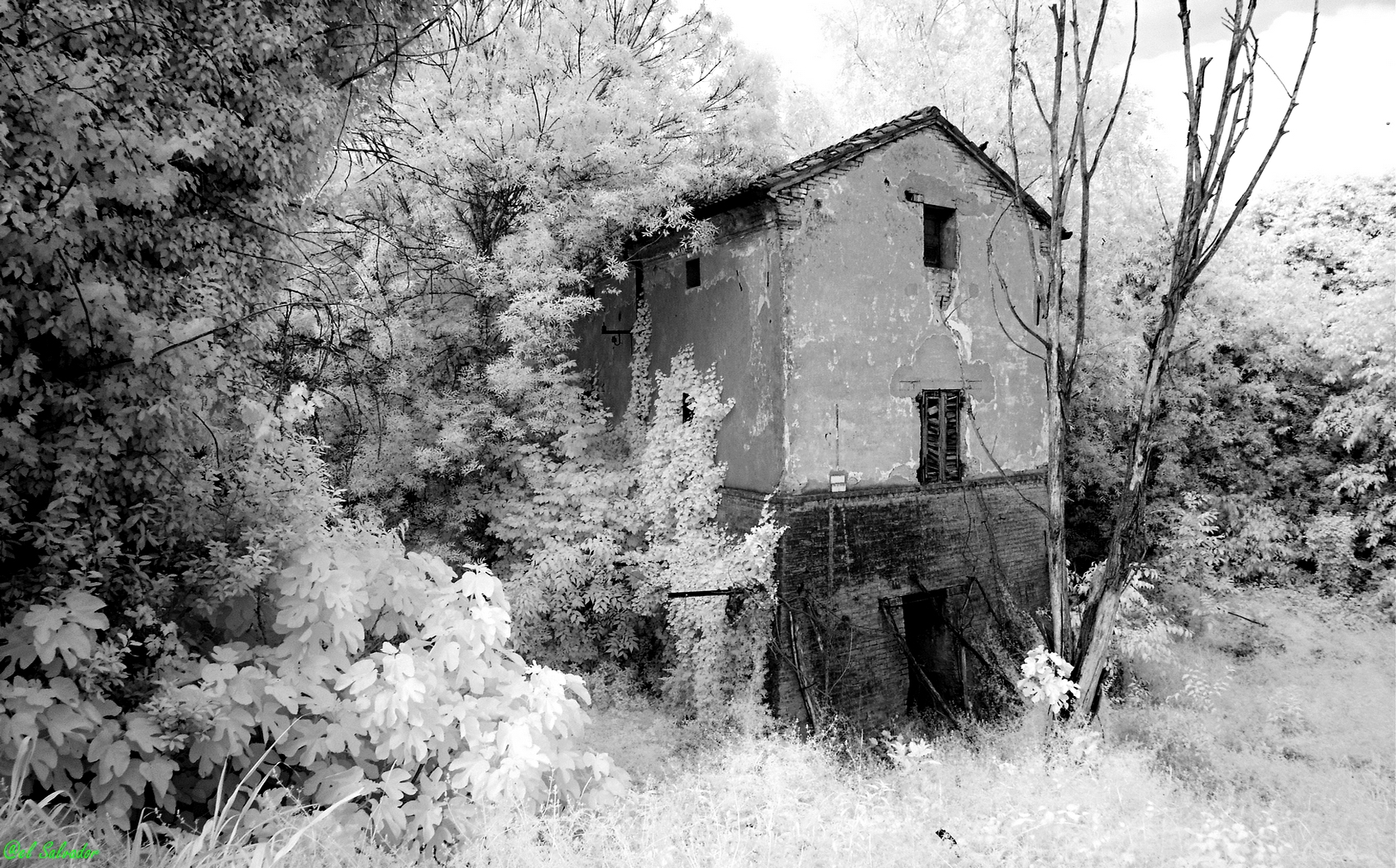 the old lock of the "Pit" for entry into the