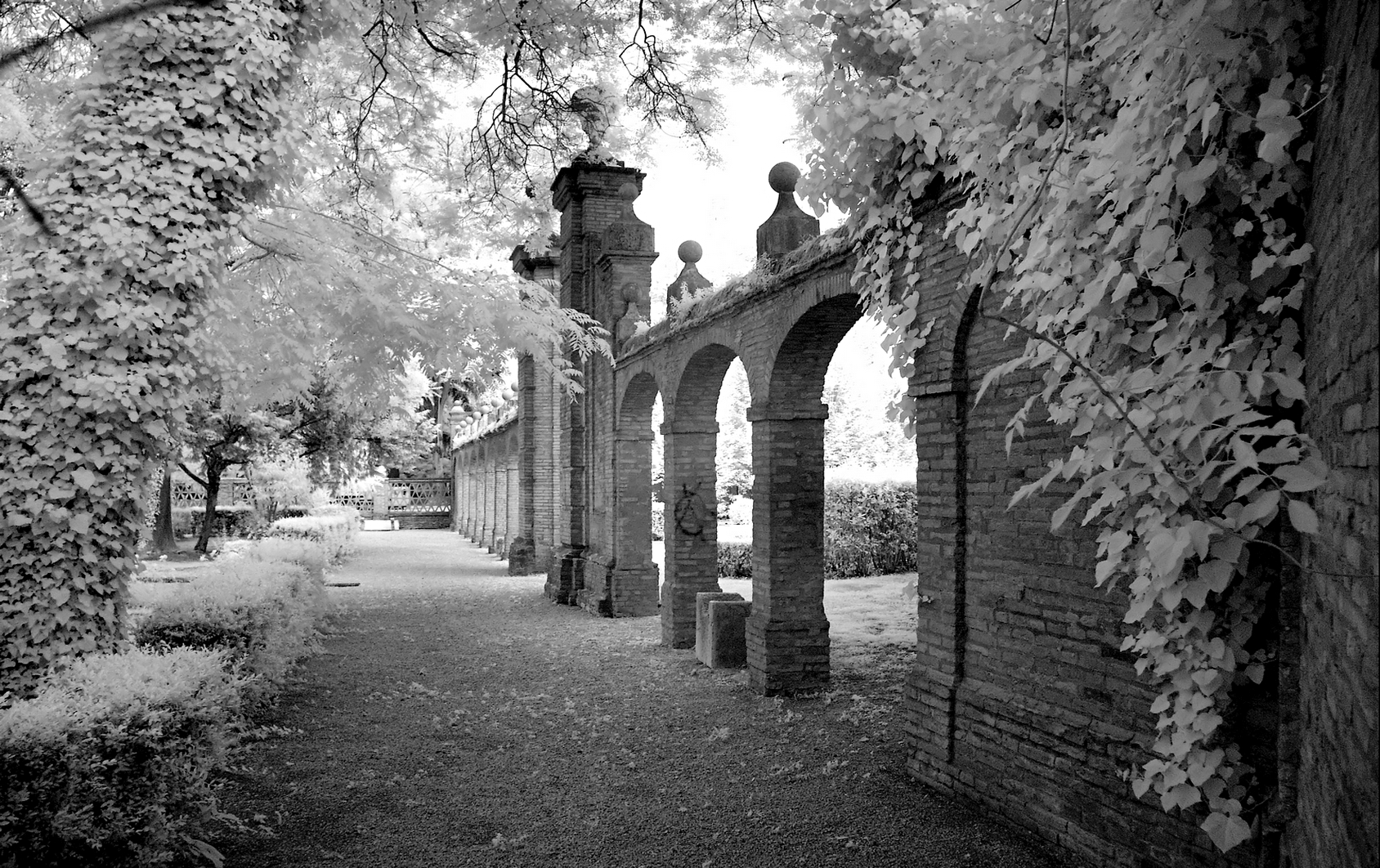 the ancient arches in the garden in Ostiglia