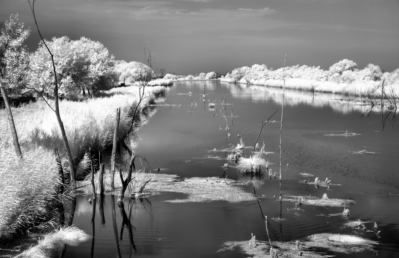 the White Canal at Busatello