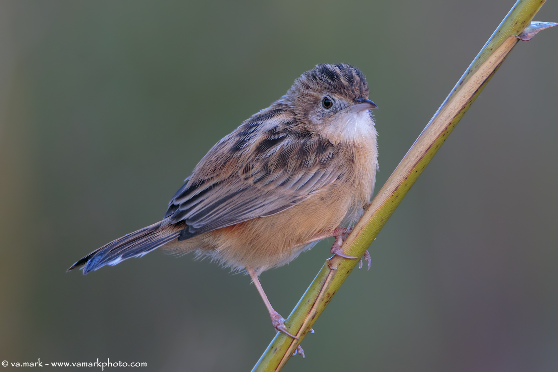 Quando ancora tutti dormono...