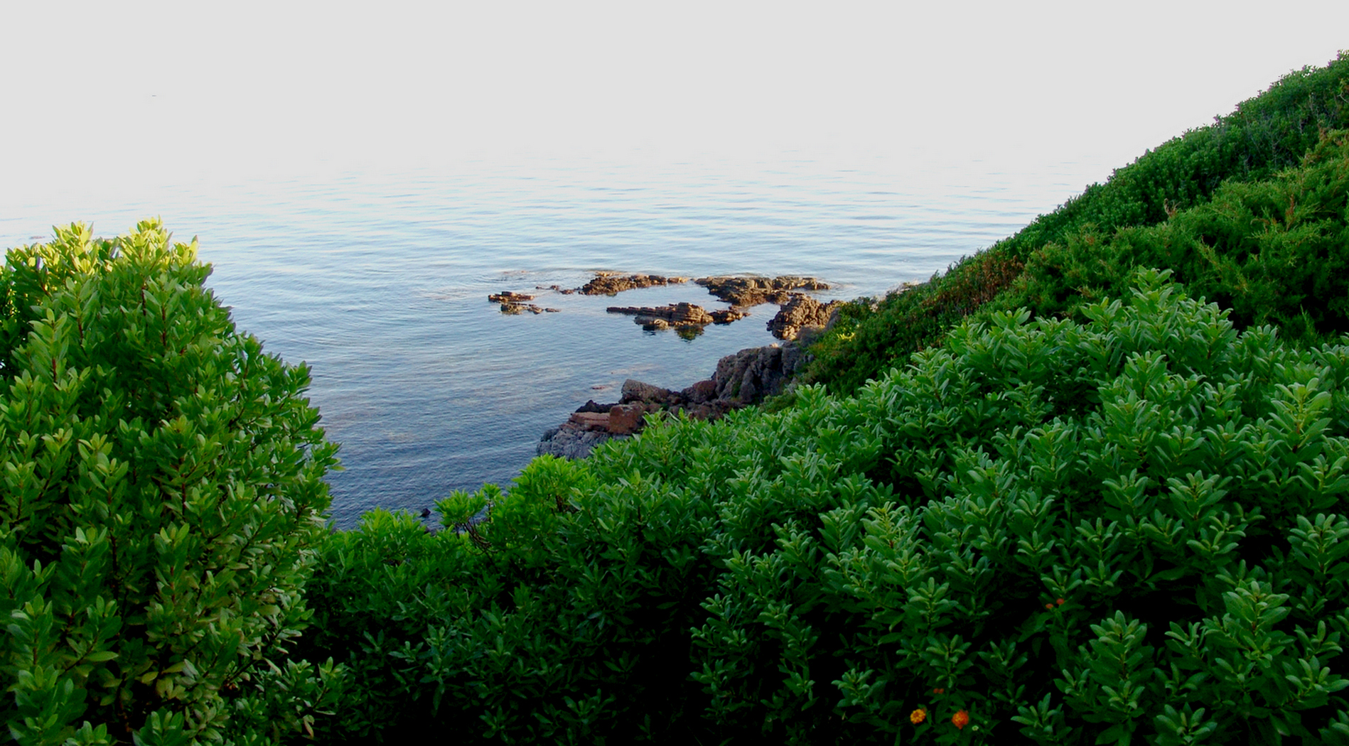 lights and colors in the sea at Sa Peruledda