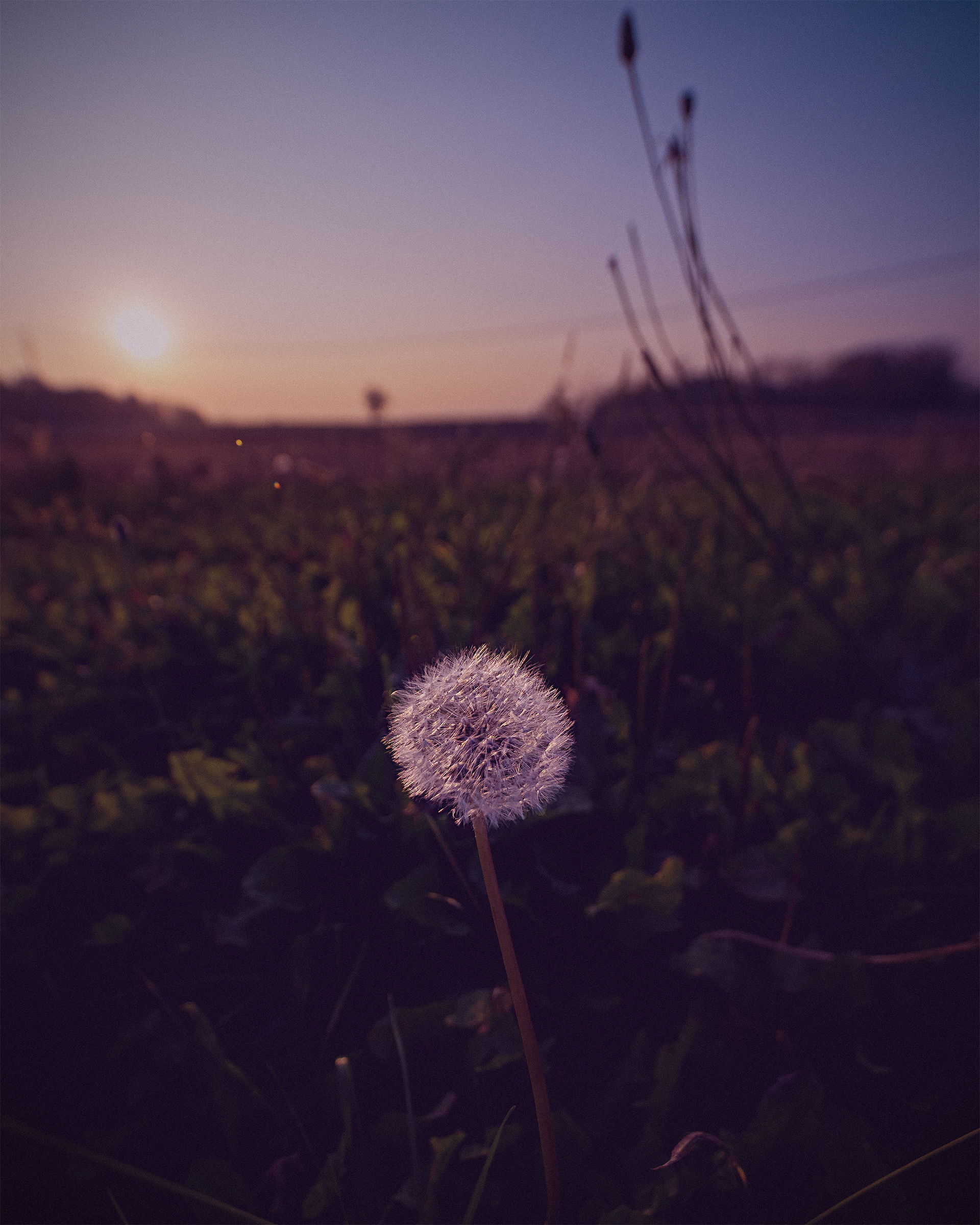 Autumn sunset in the fields of Molgora