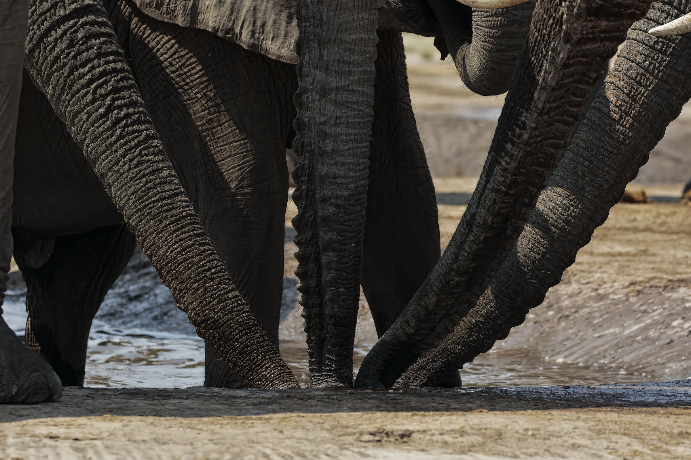 Quando la sete è tanta