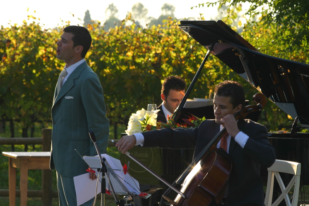 concert among the vineyards