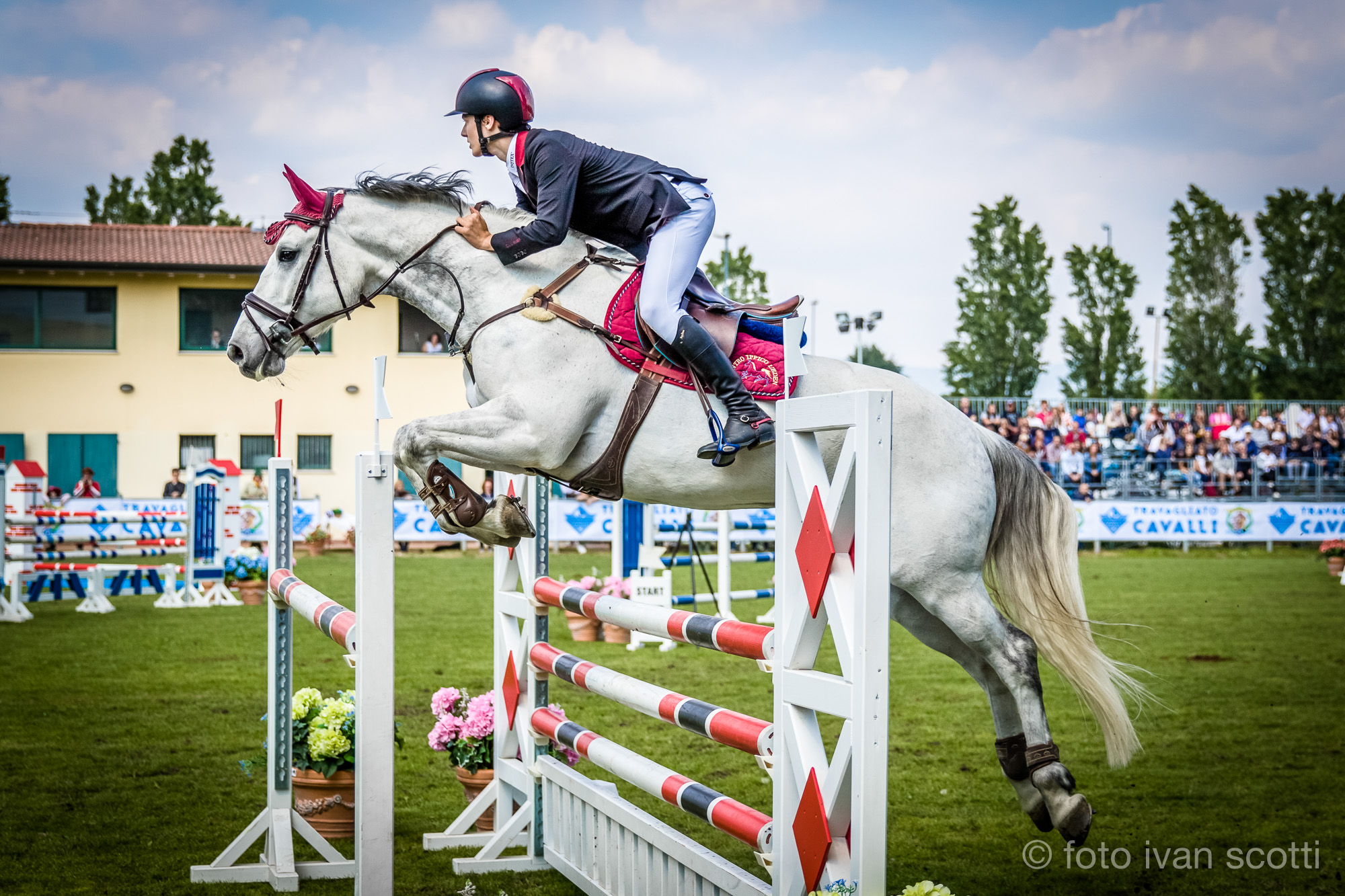 Horse Racing tr17 01