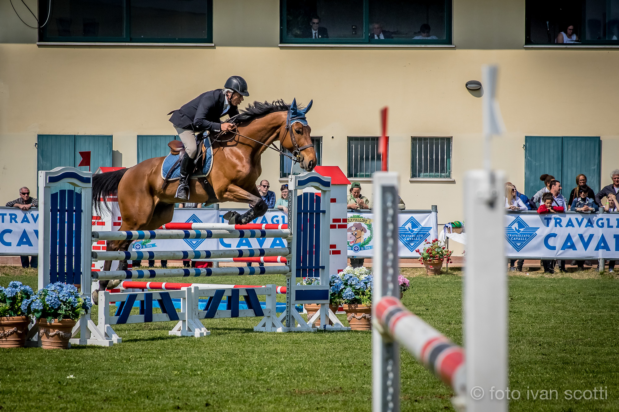 Concorso Ippico tr17 03