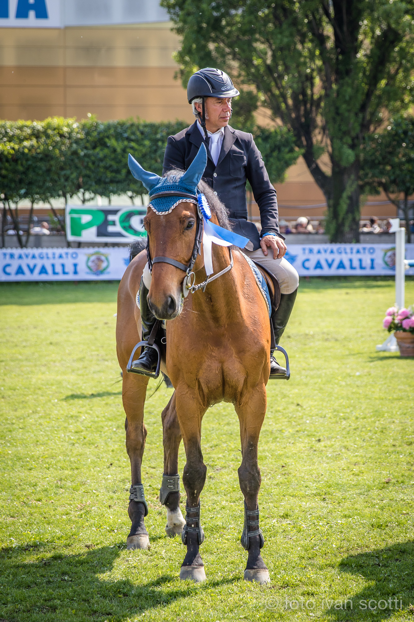 Concorso Ippico tr17 06