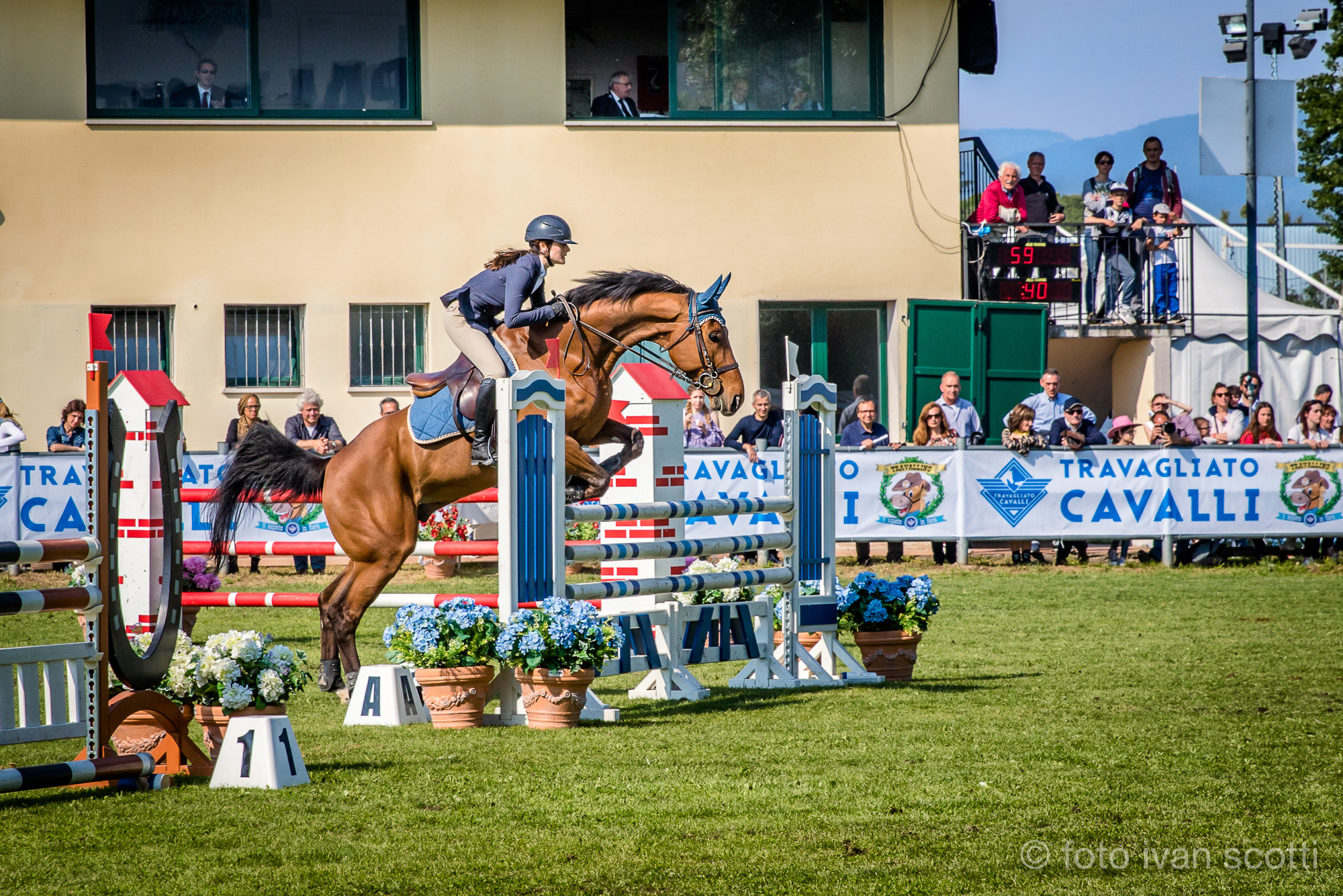 Concorso Ippico tr17 08
