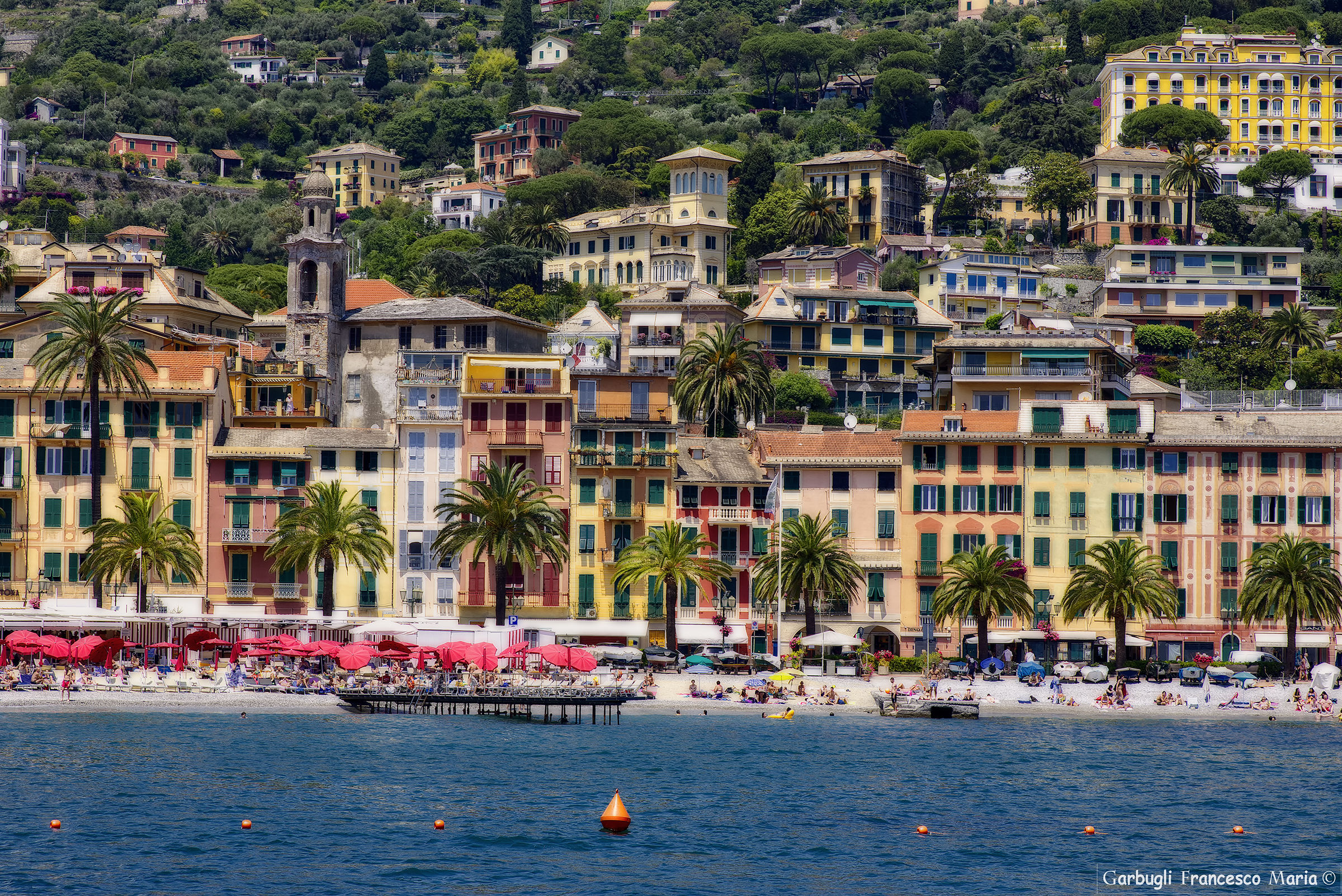 Palme a Santa Margherita Ligure
