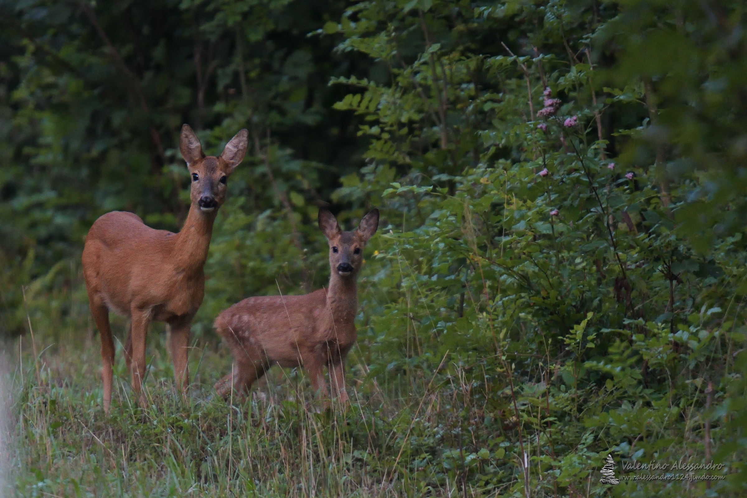 Madre e figlio...prima del sorgere del sole
