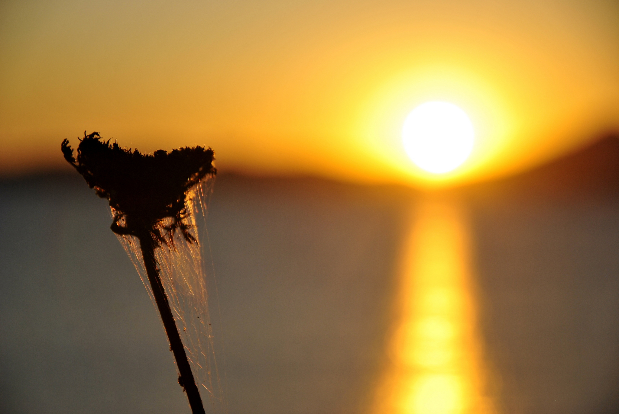 The sound of silence