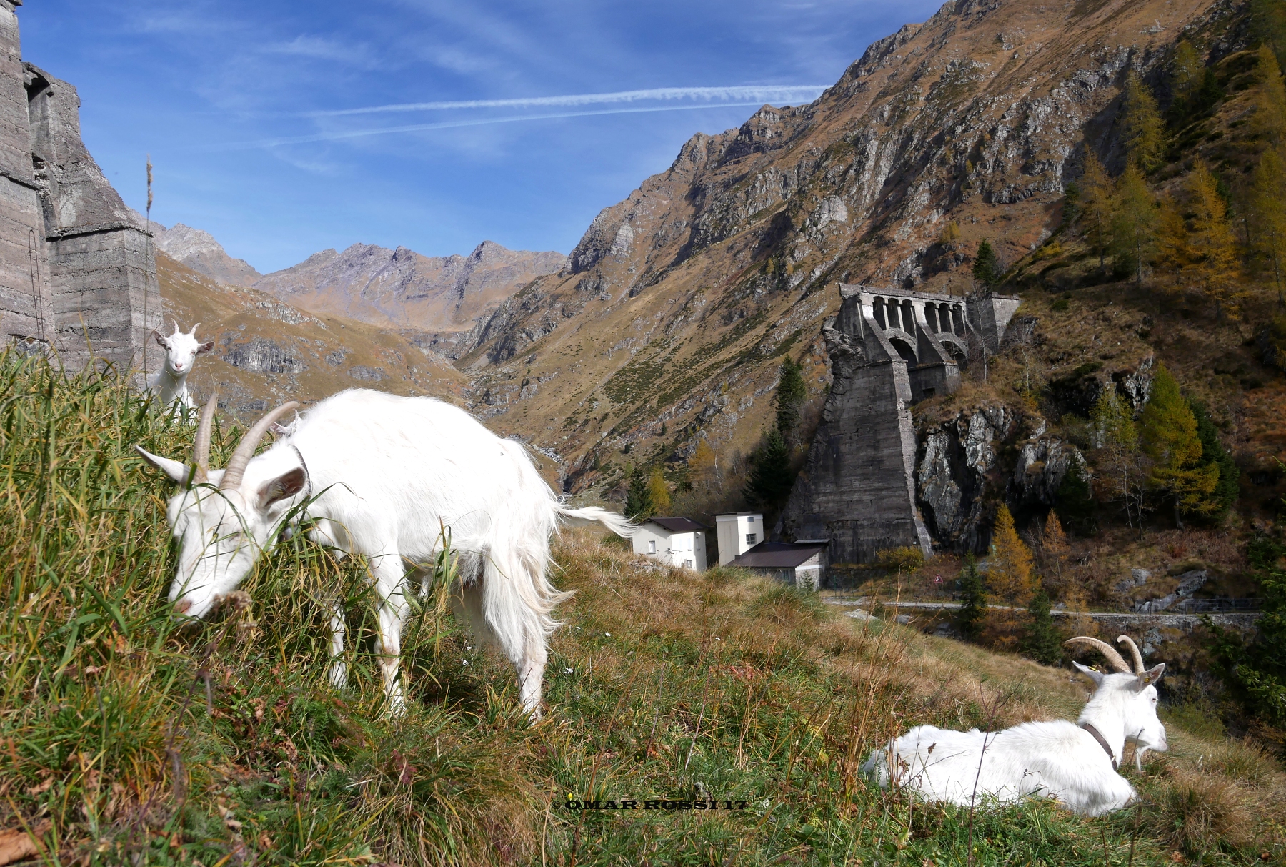 I guardiani della diga