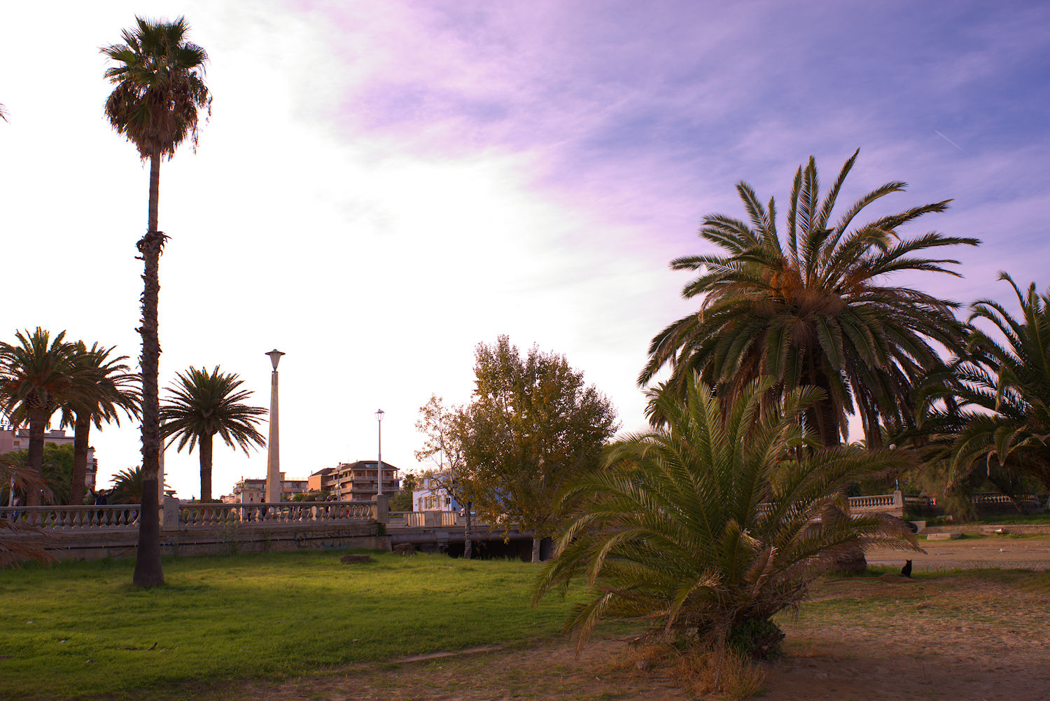 Along the Sea, San Benedetto del Tronto