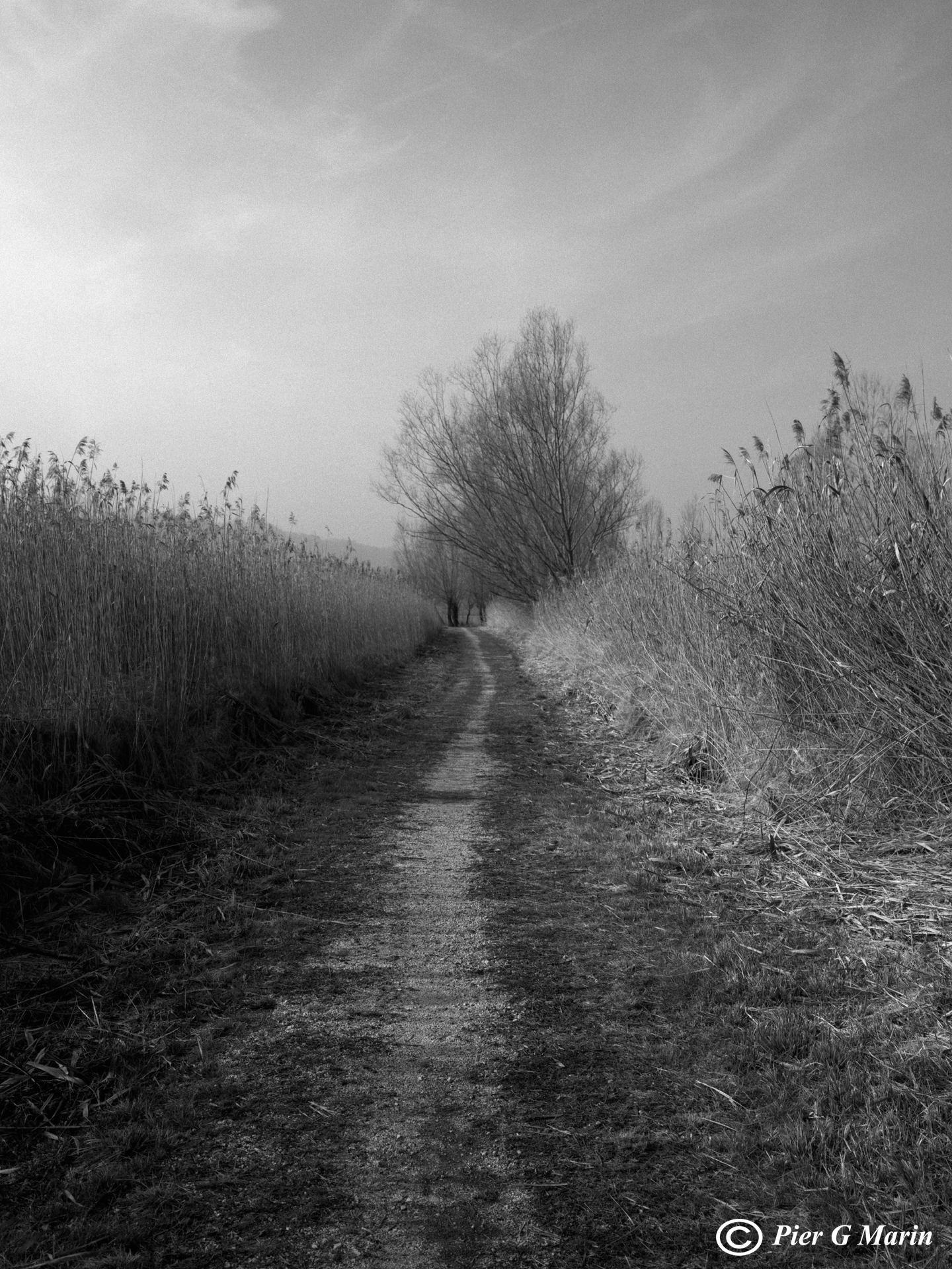 11 - Veneto, Footpath in cane