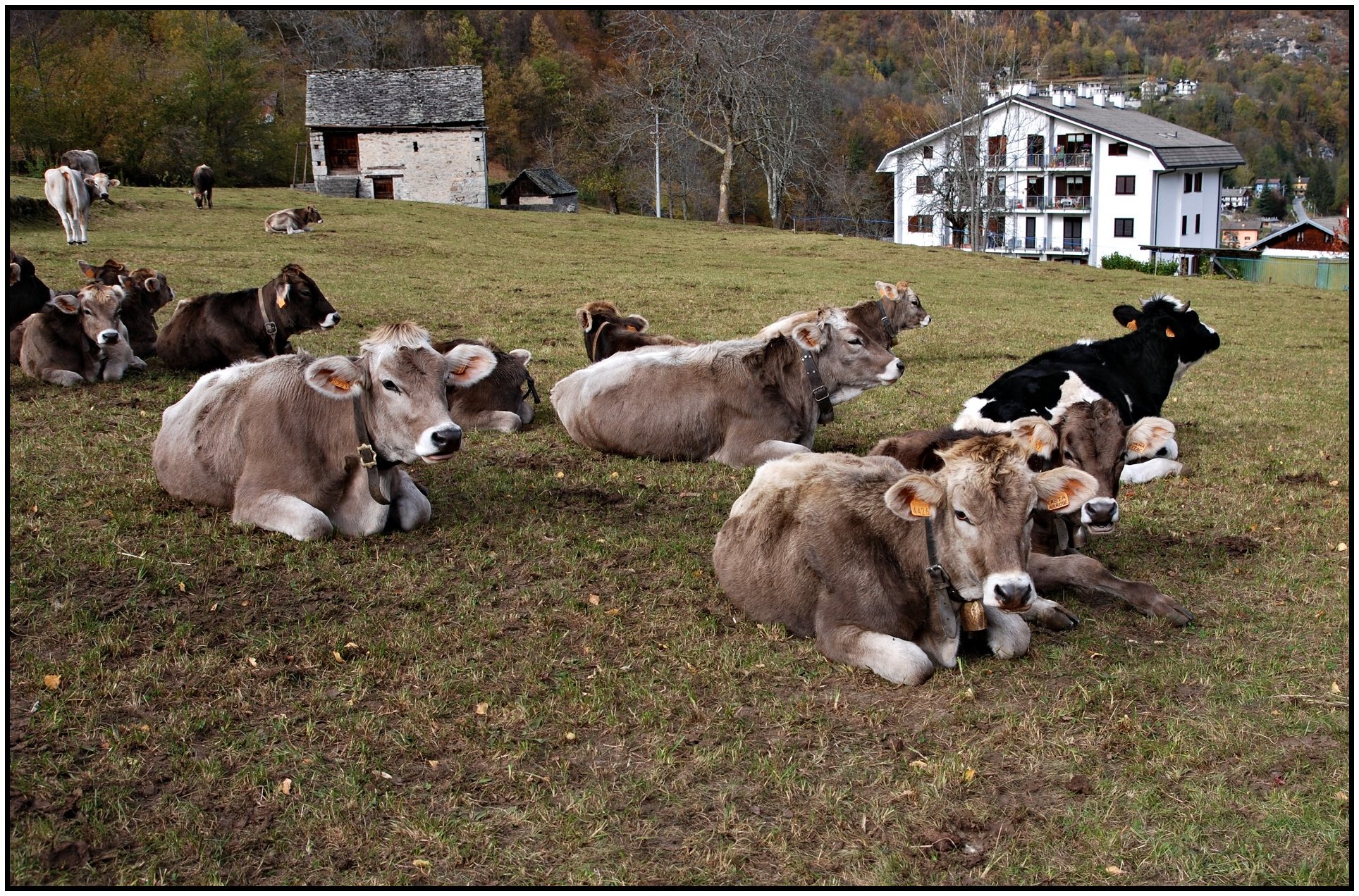Con la speranza di non finire sulla...griglia !