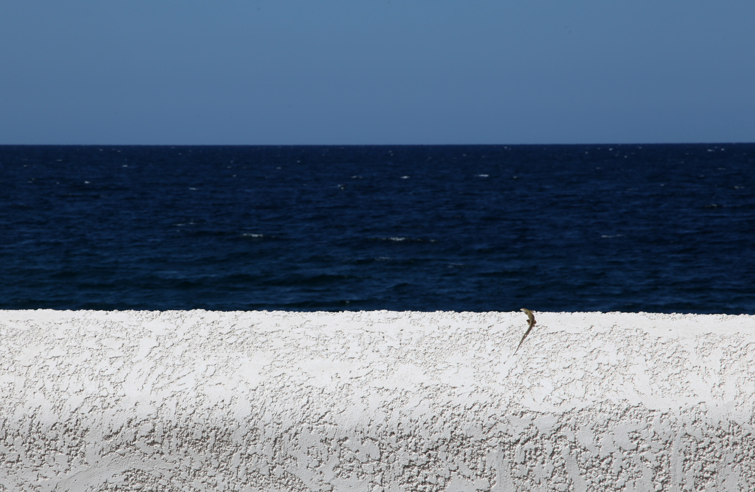 crogiolandosi al sole