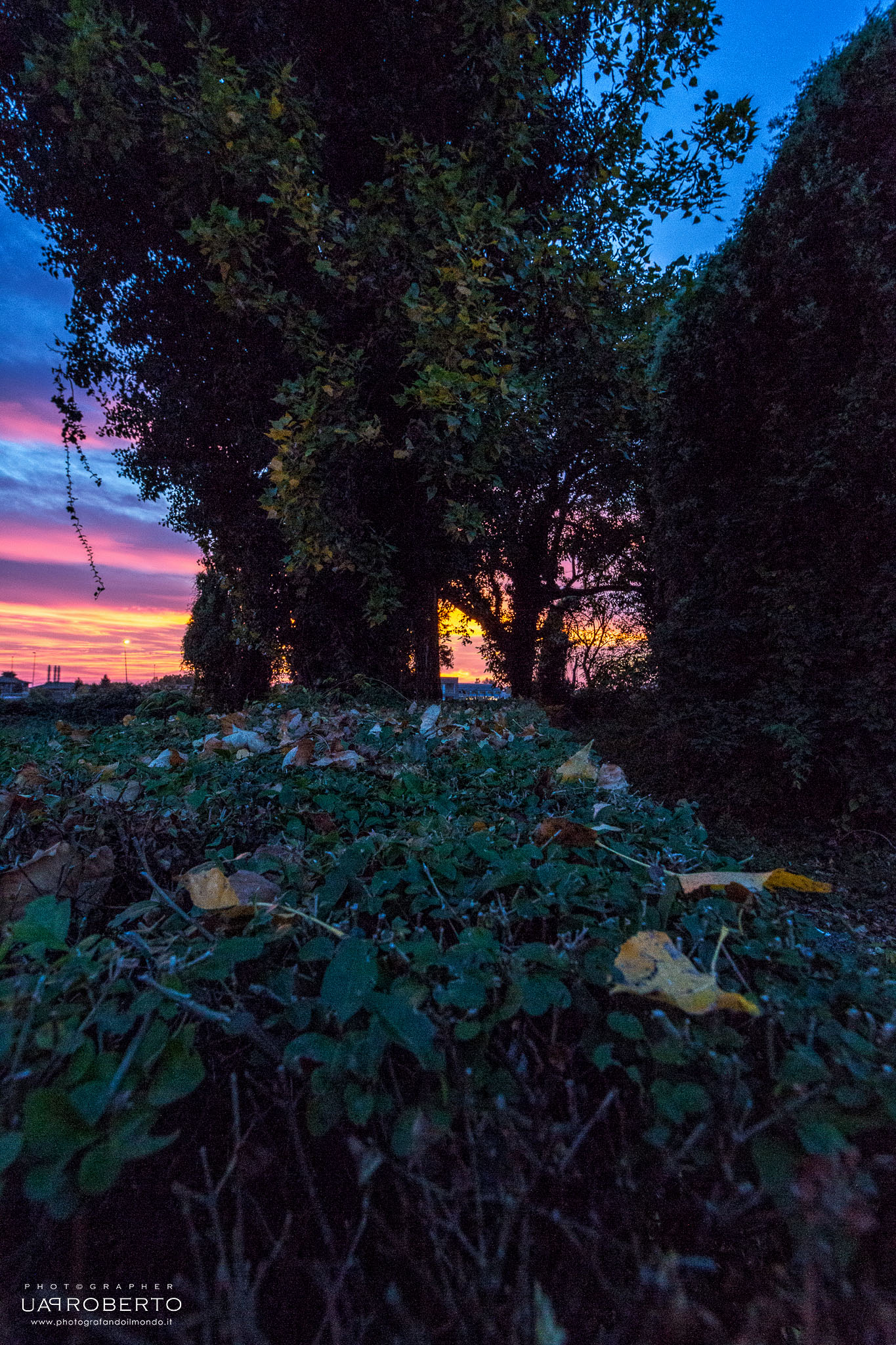 # Tramonto29ottobre2017