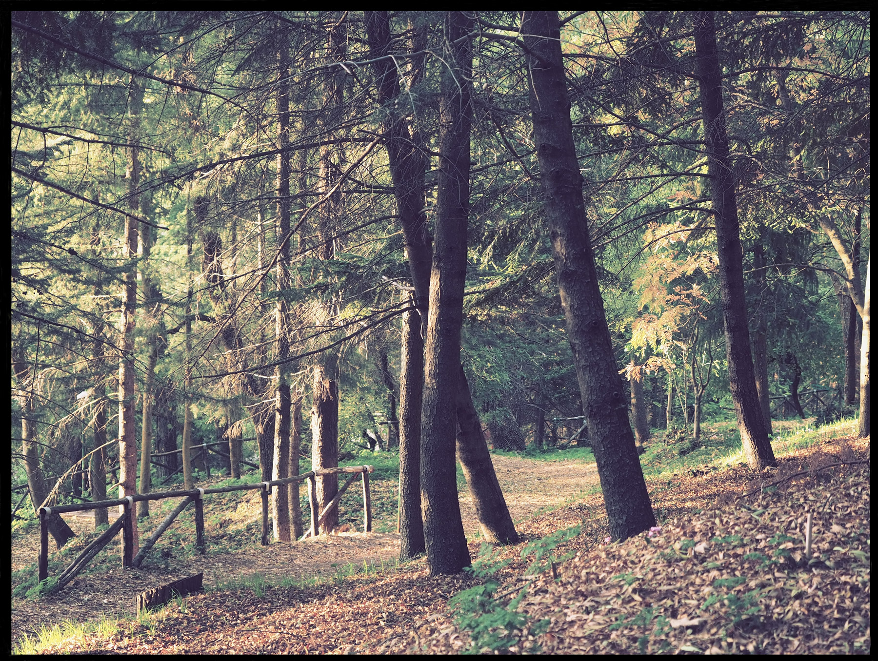 Parco delle Madonie (pa)