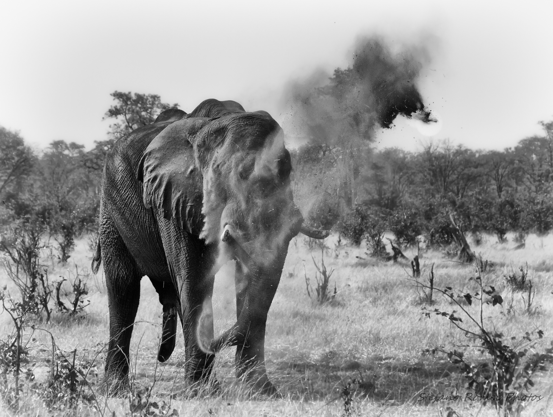 locomotiva in partenza