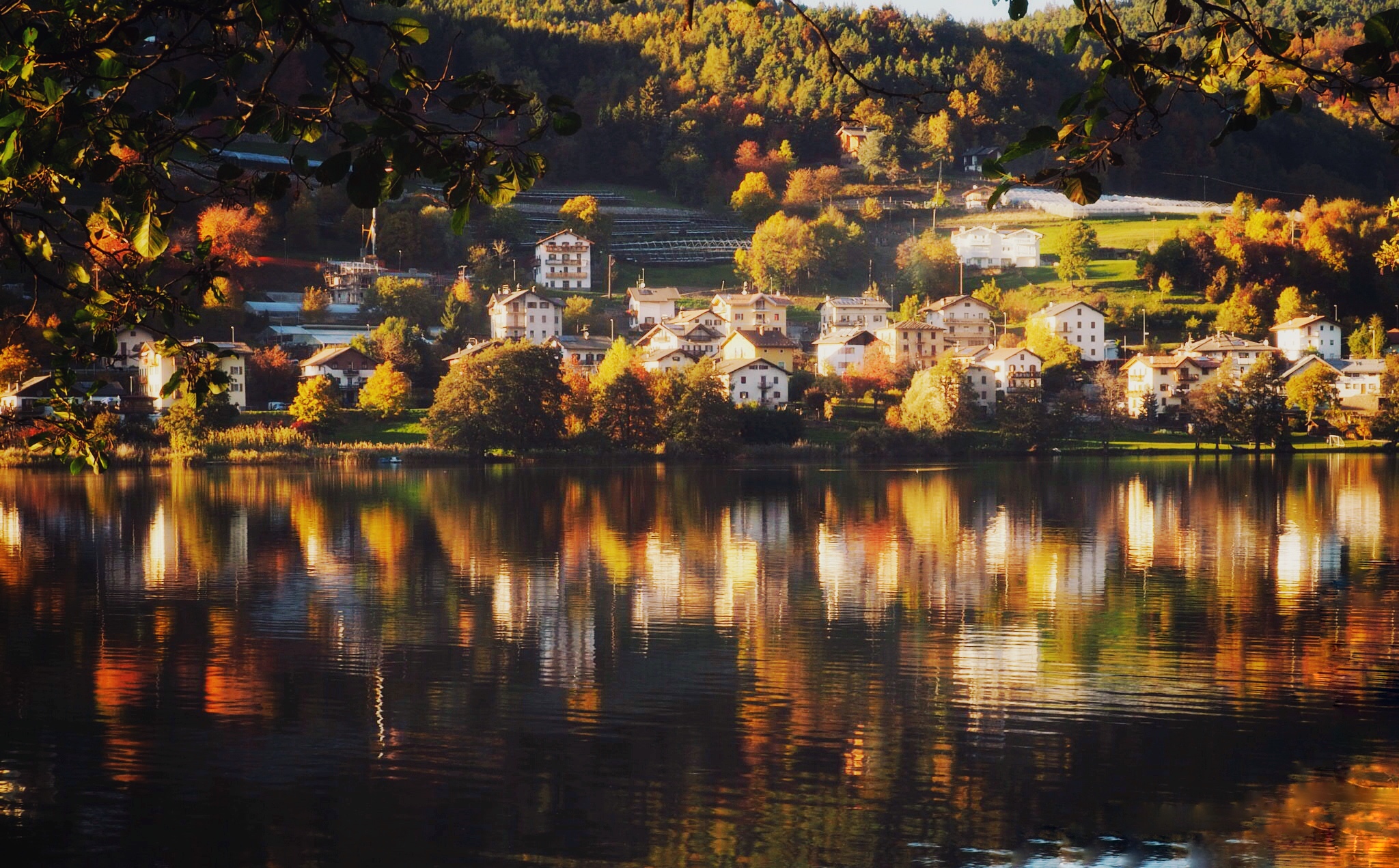 Autumn colors on the lake
