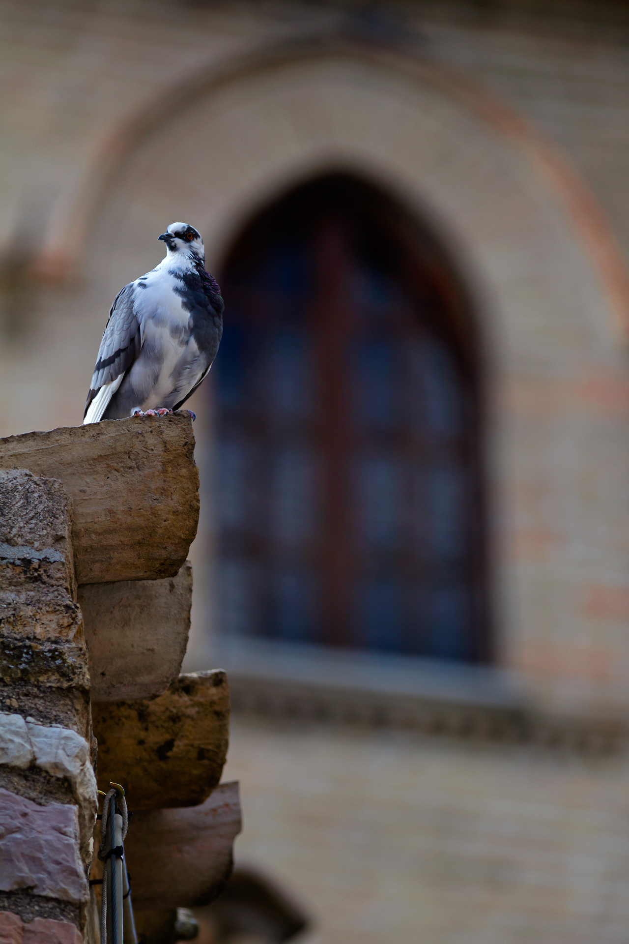 Hey! me take a picture?!