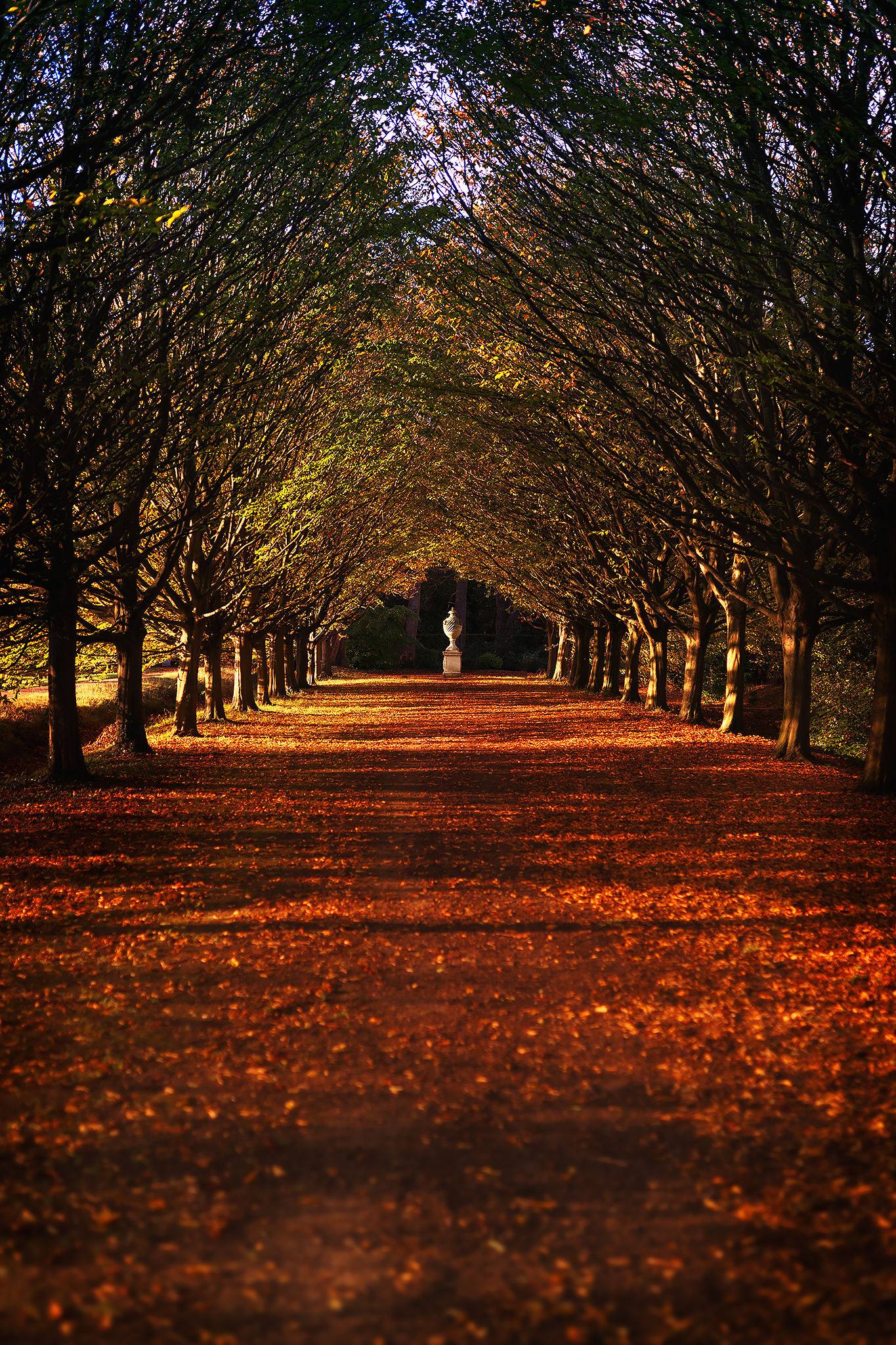 It Just Wasn't The Best Place Or Moment