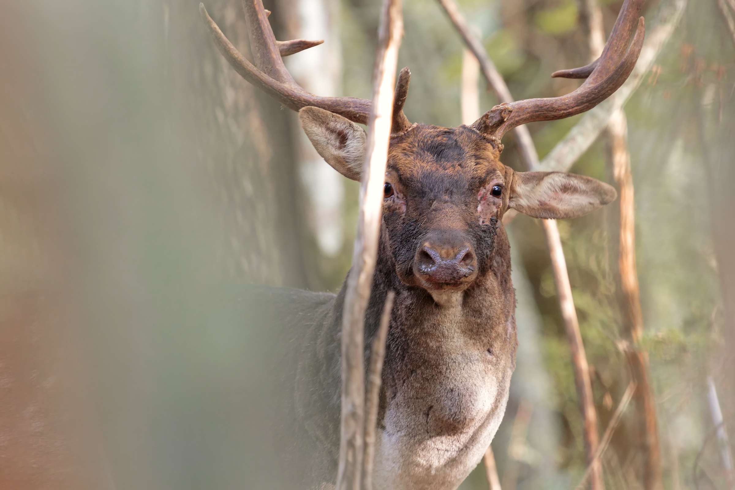 I put the arrow to the left