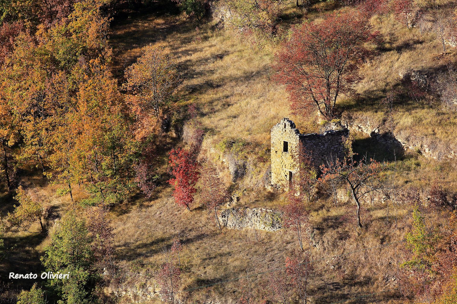 Autumn in high langa