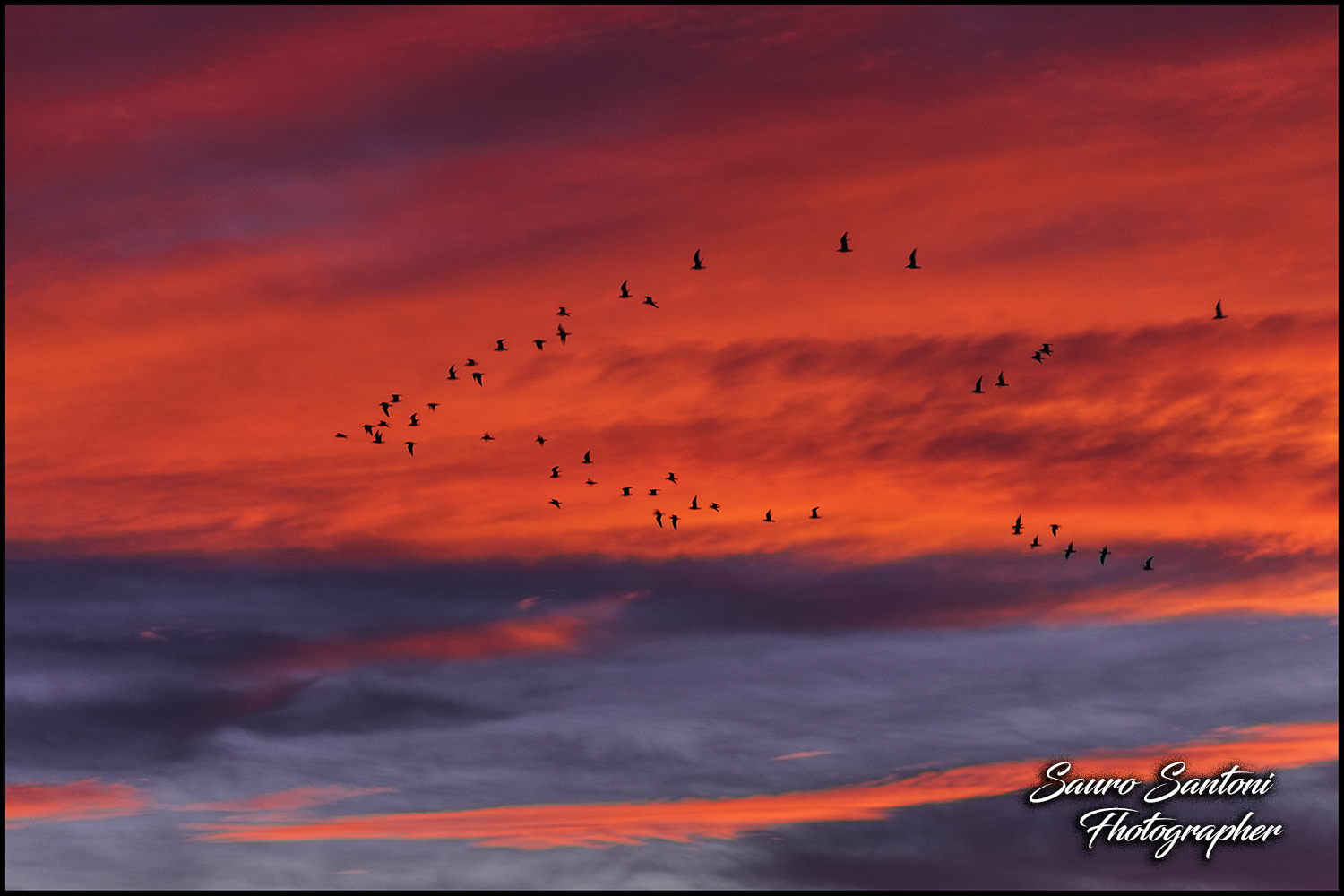 Tramonto colori originalli