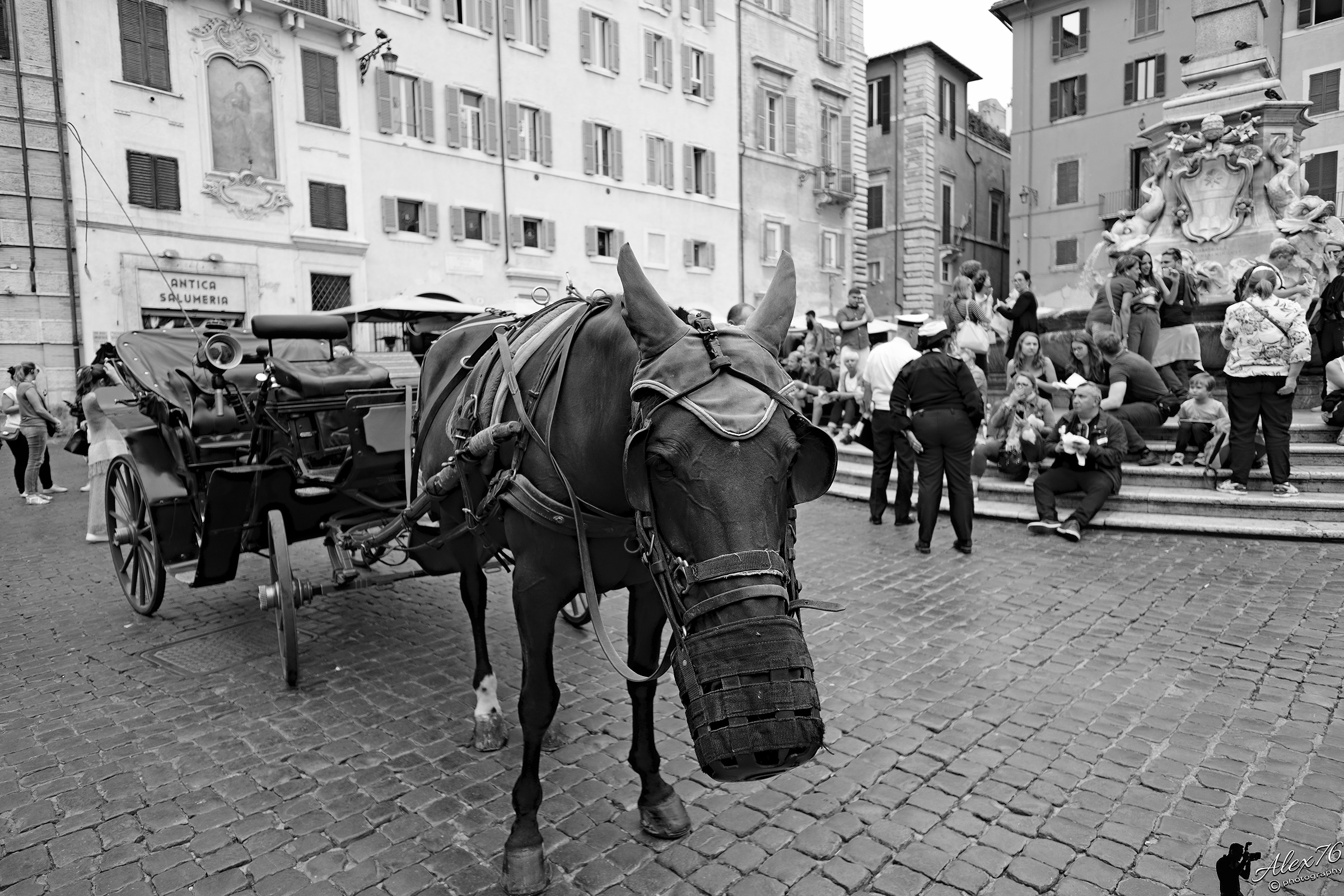 In attesa del prossimo giro...