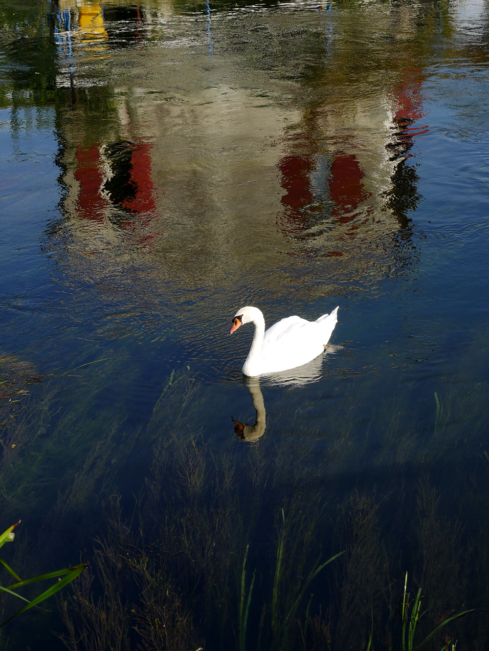 The Sile in Canizzano