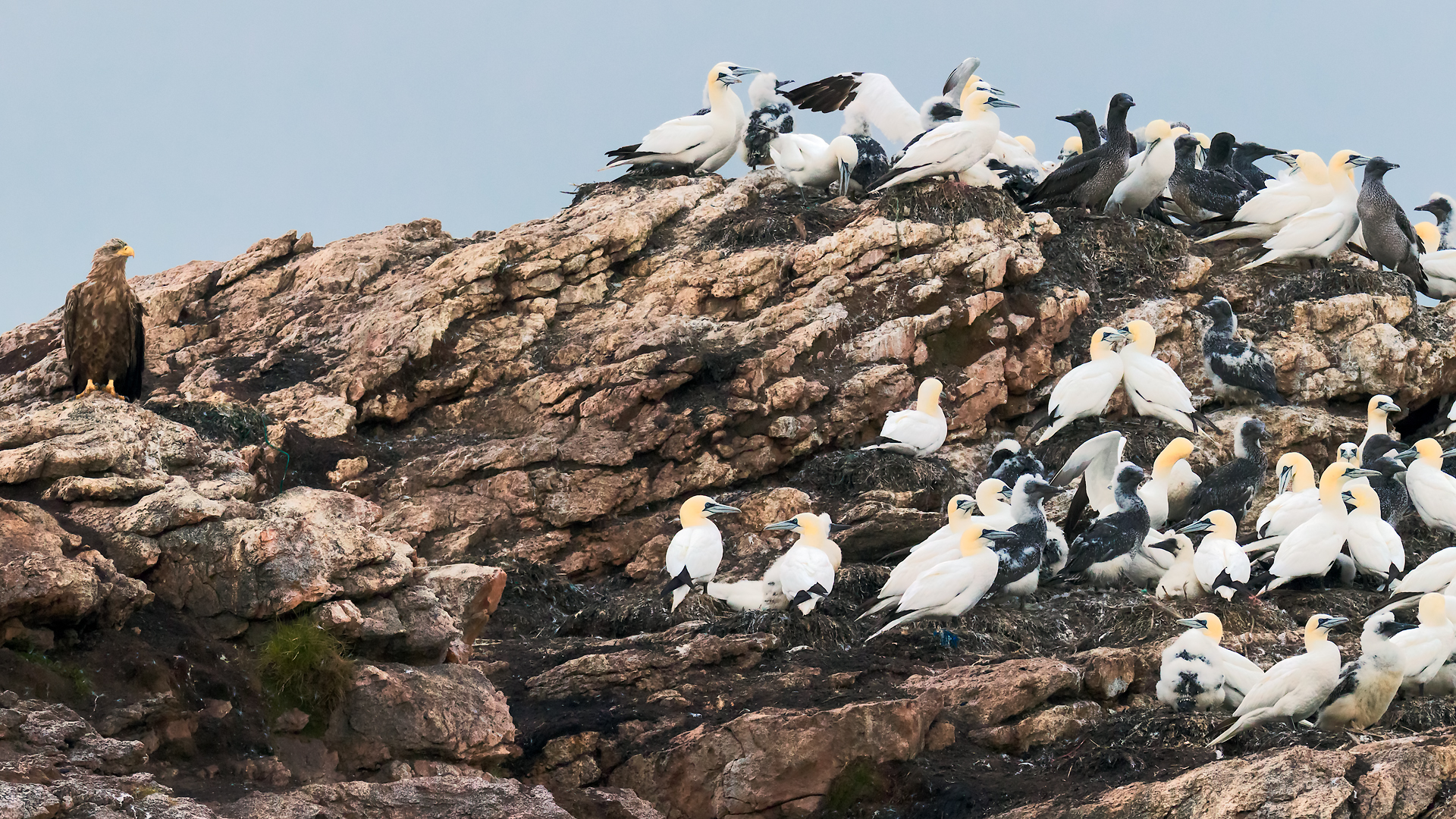 The tenant next to the door