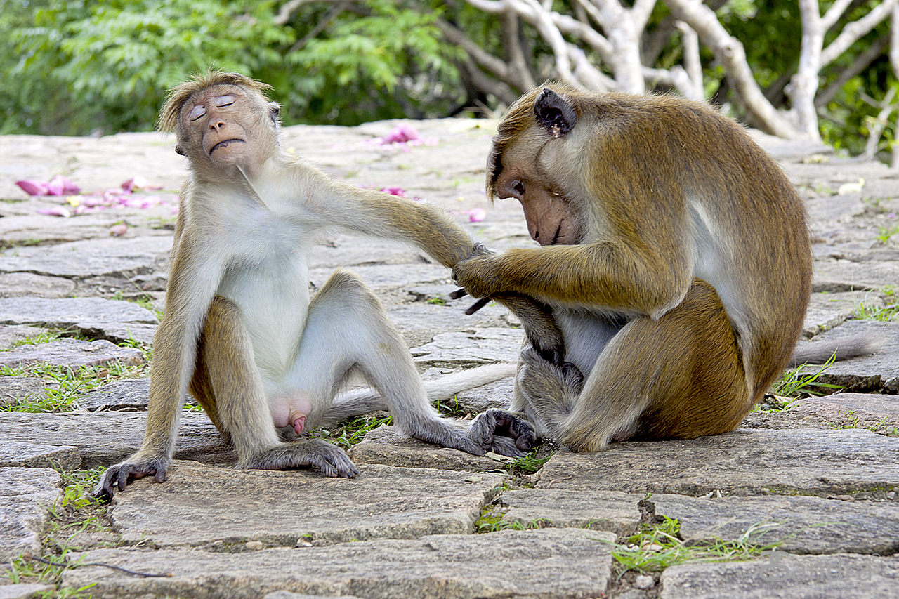 The relaxation is never too