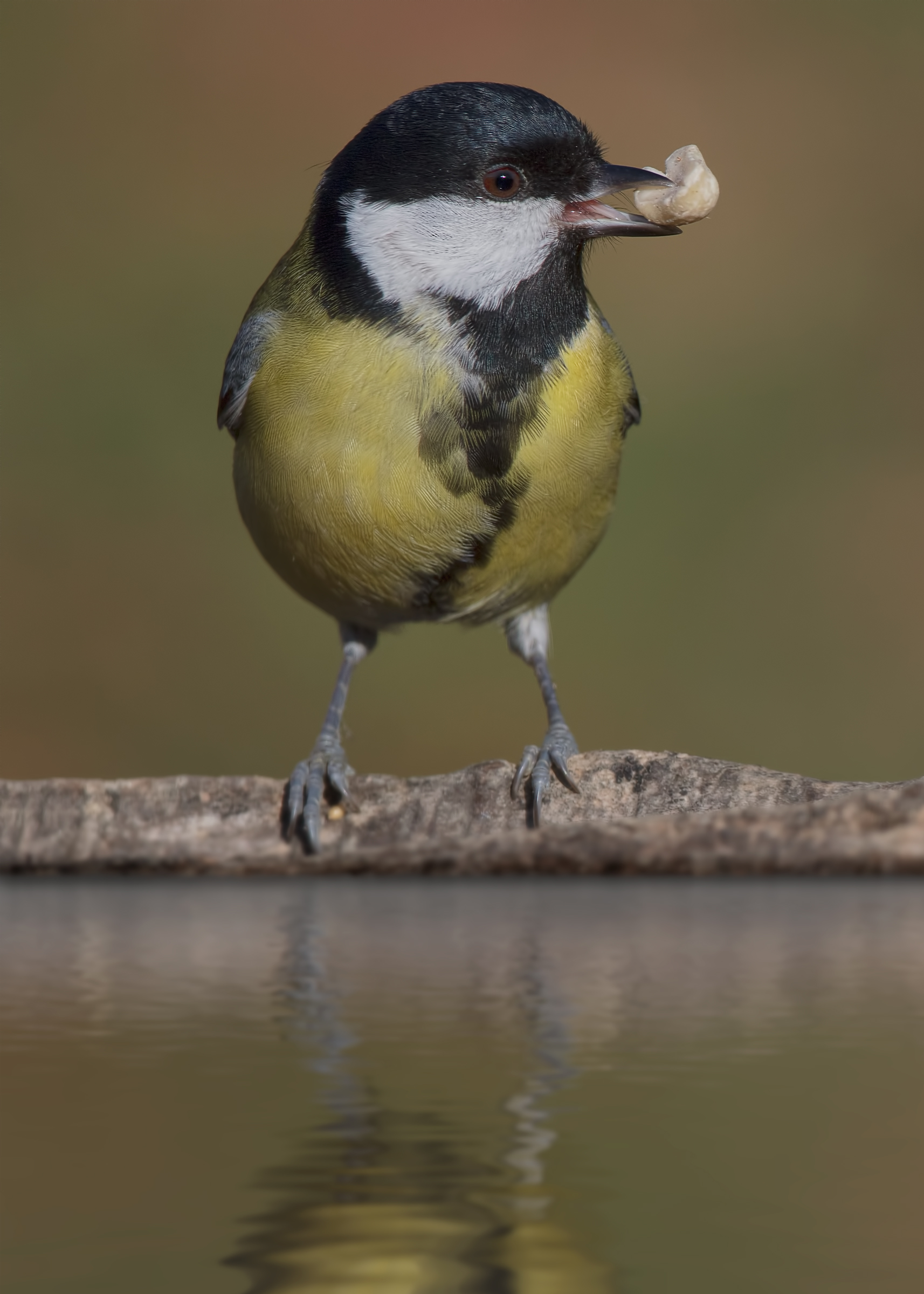 scorte per l'inverno