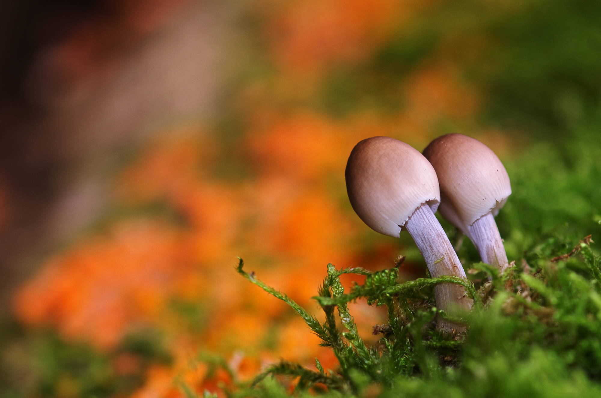 Ultimi raggi di sole