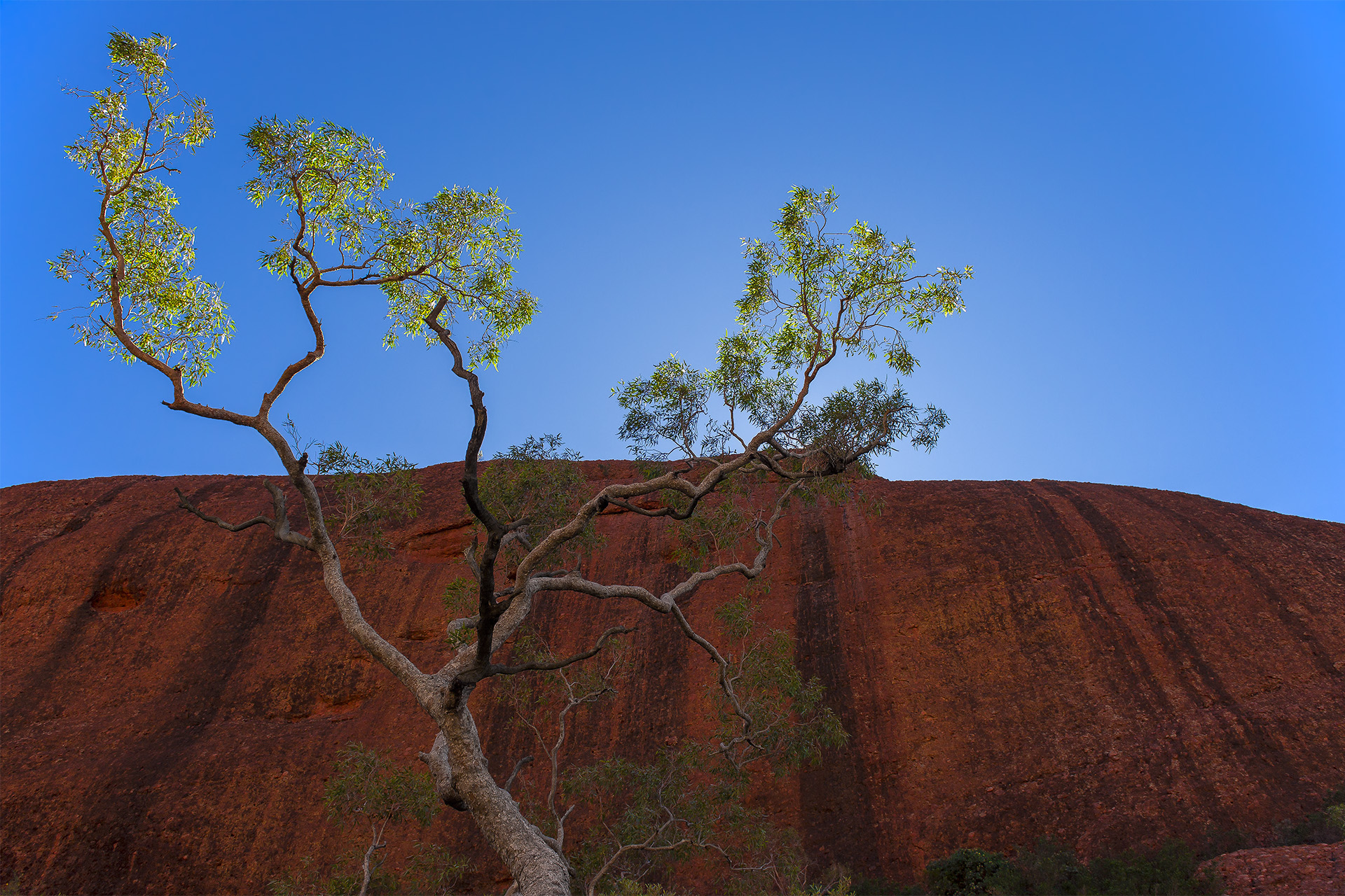 Kata Tjuta