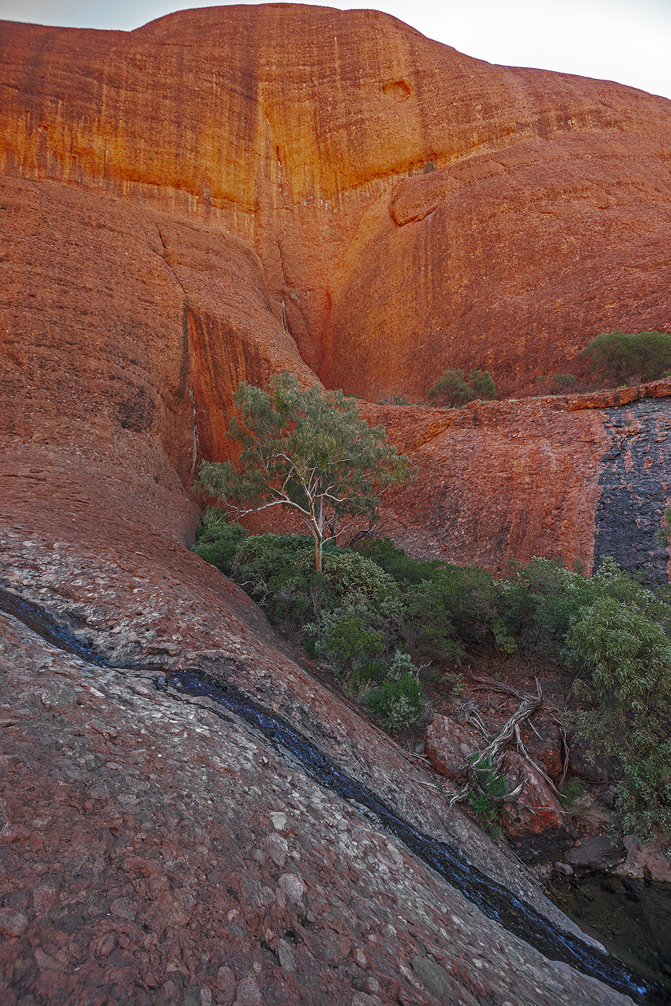 Kata Tjuta