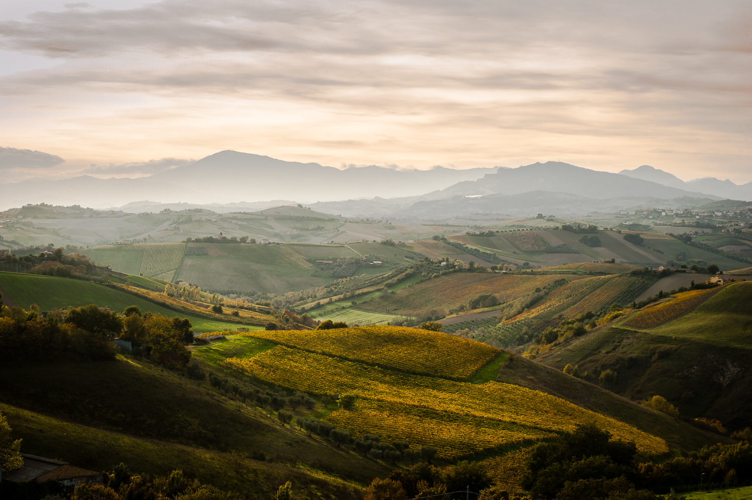 Autunno sulle colline Picene