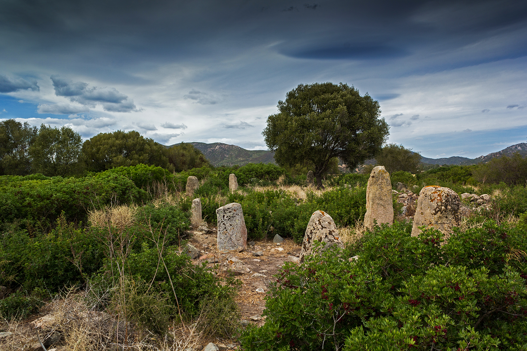 Megalithic Complex of Is Scalas