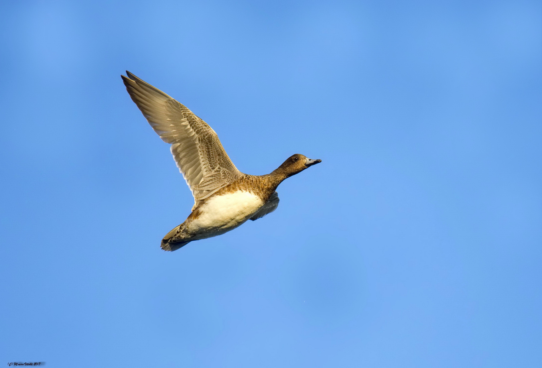 Le luci calde del tramonto...