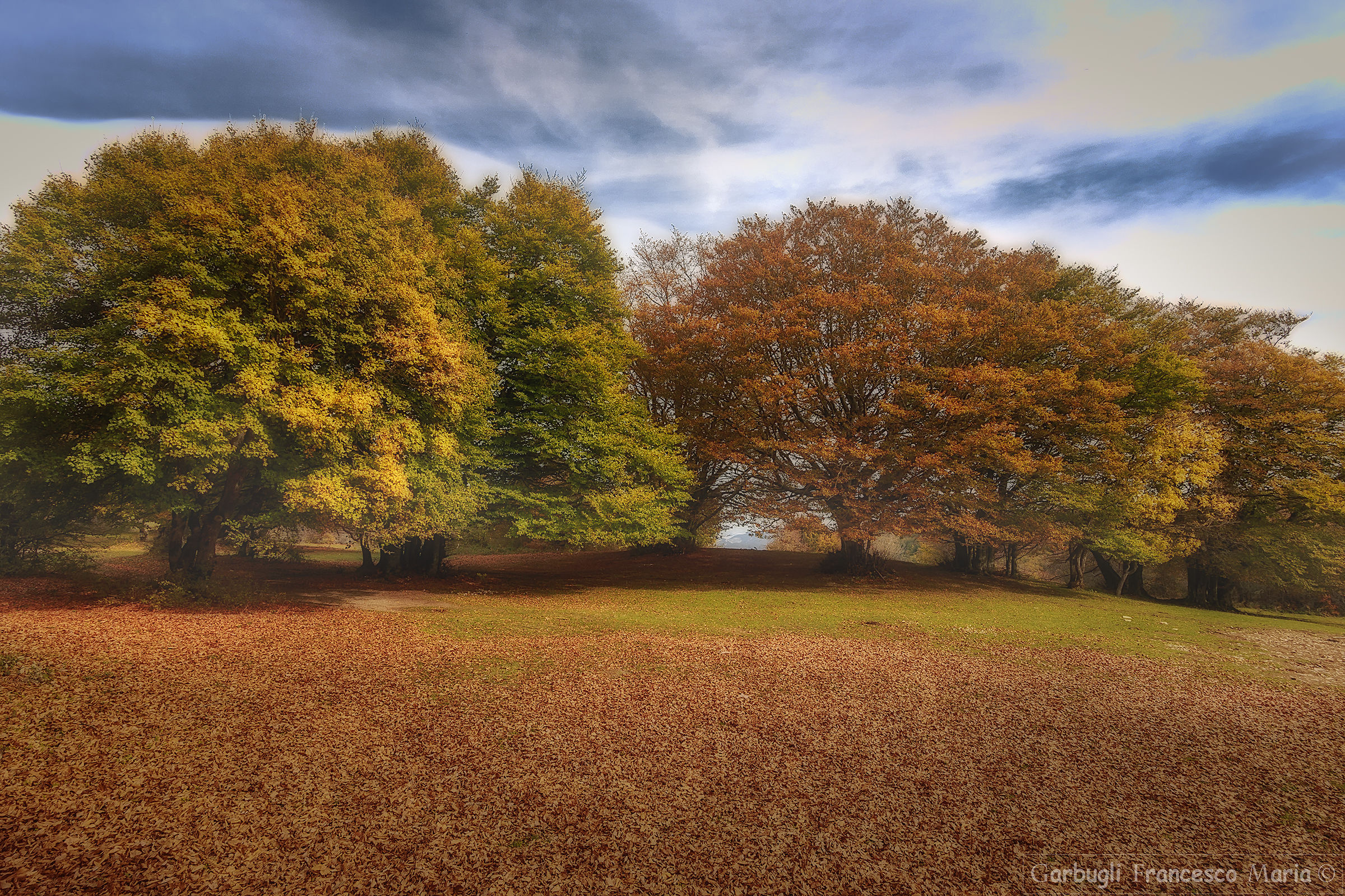 Canfaito and its colors