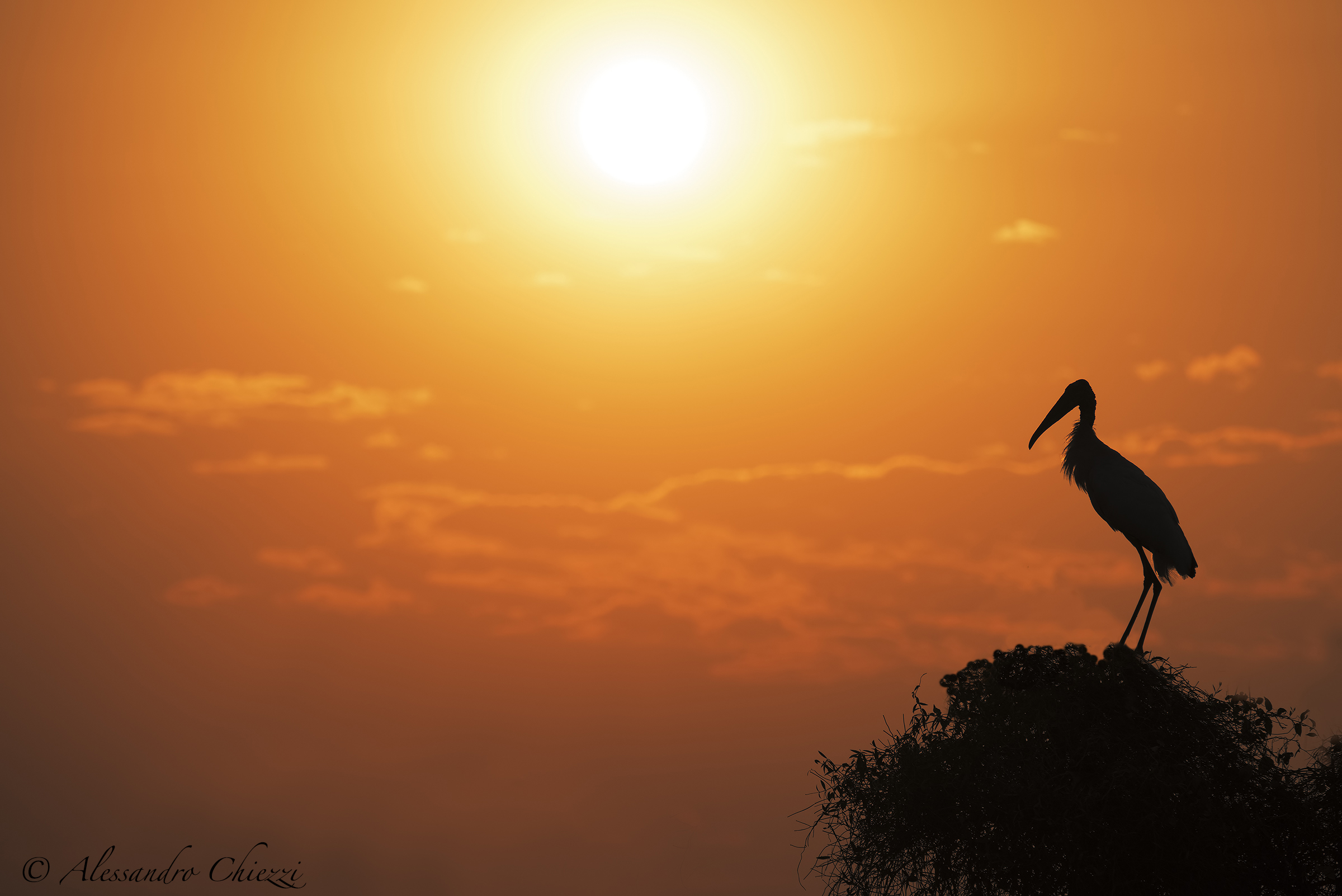 Sunrise at the Pantanal