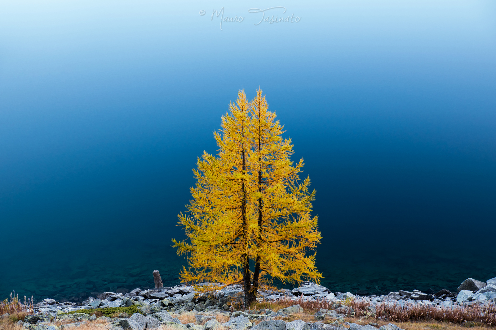 Il guardiano del Lago