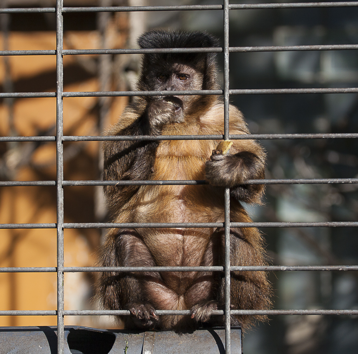 La nostra "felicità" vale davvero pi&ugrave...