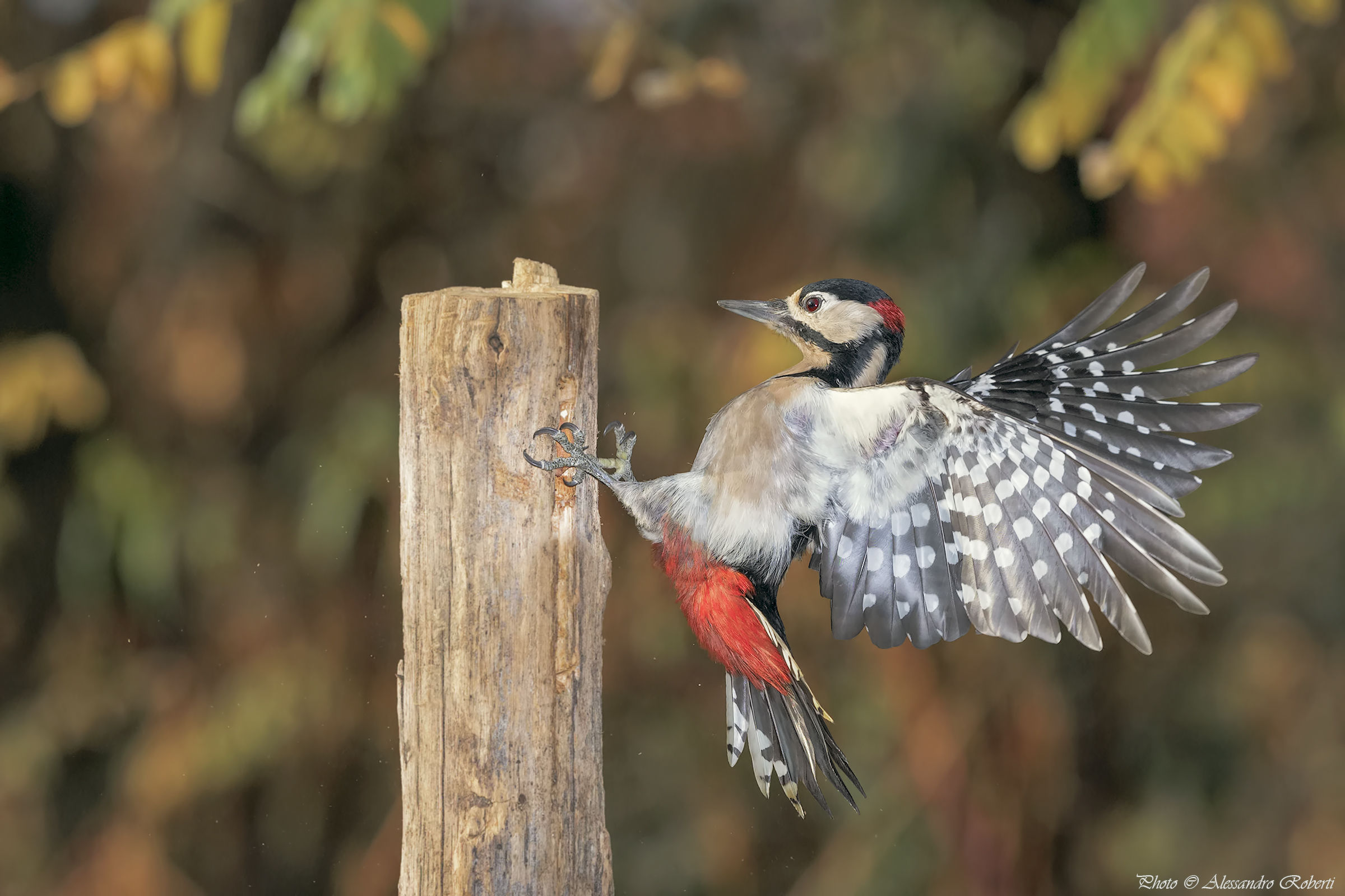 Come ci si ferma!!!!!!!!!!!