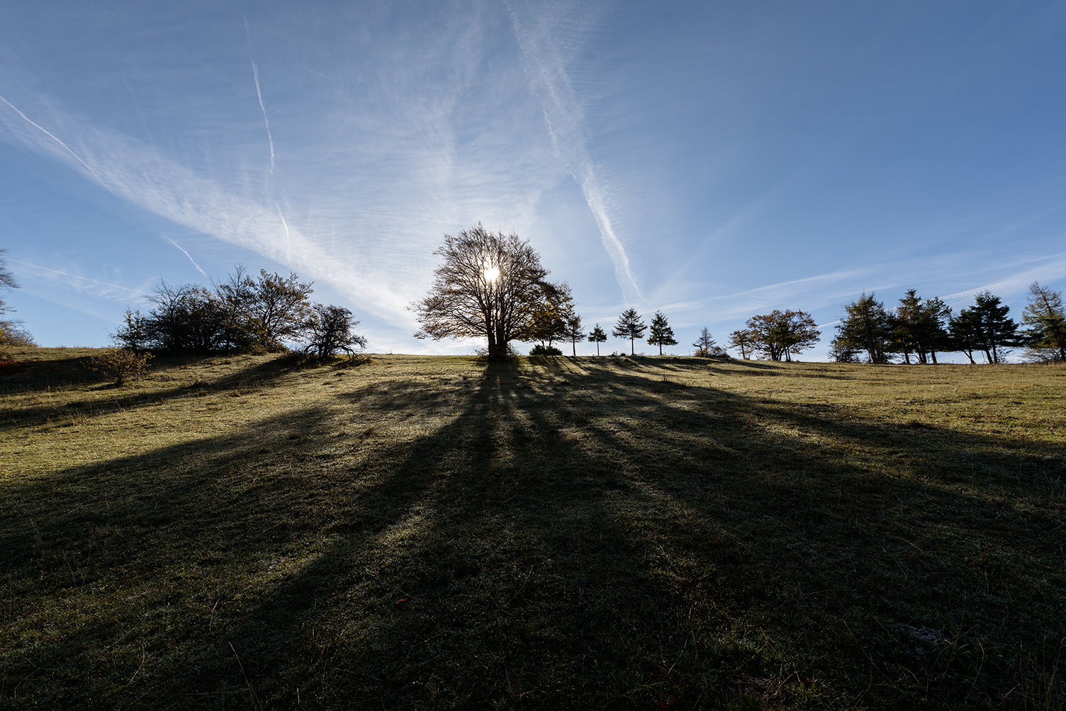 Canfaito pasture (mc)