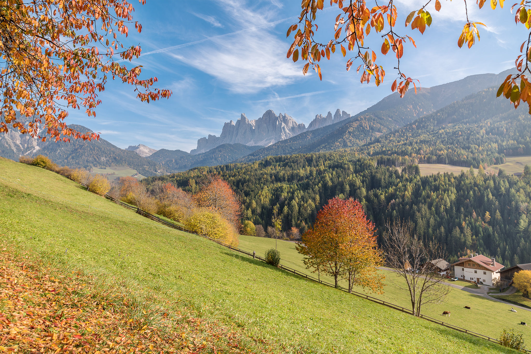 Autumn in Val di Funes
