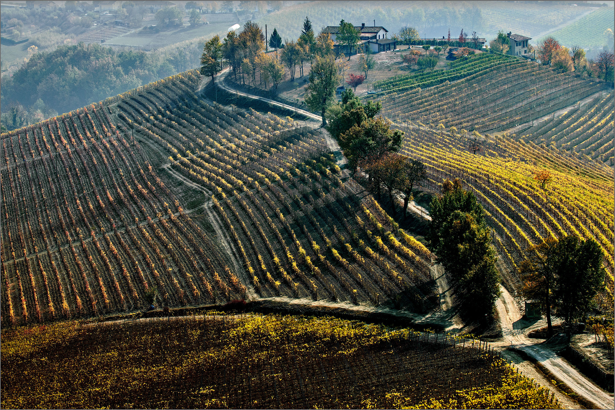 Vineyards near Novello, towards Barolo - Monforte