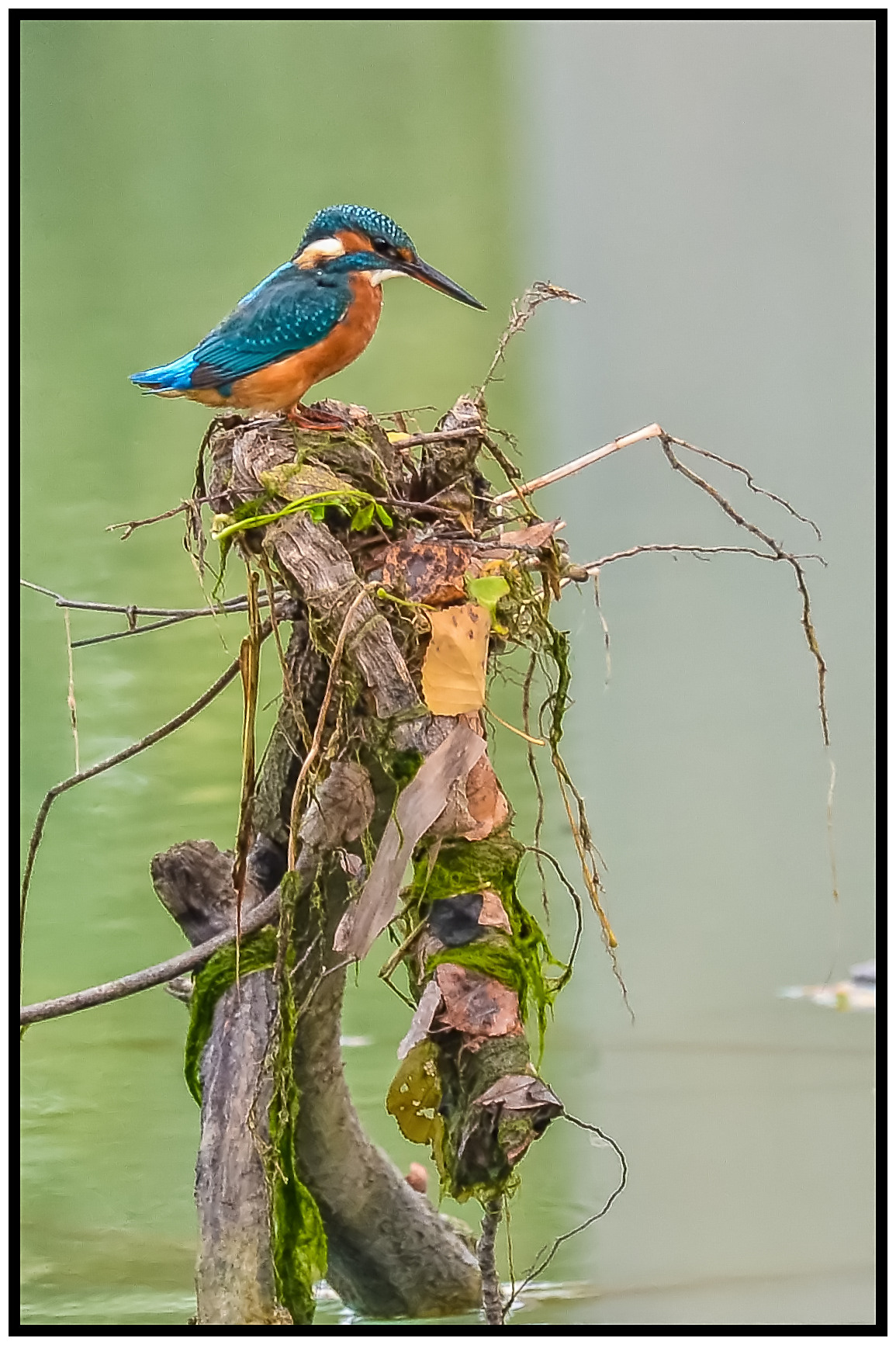 martina the naughty ...