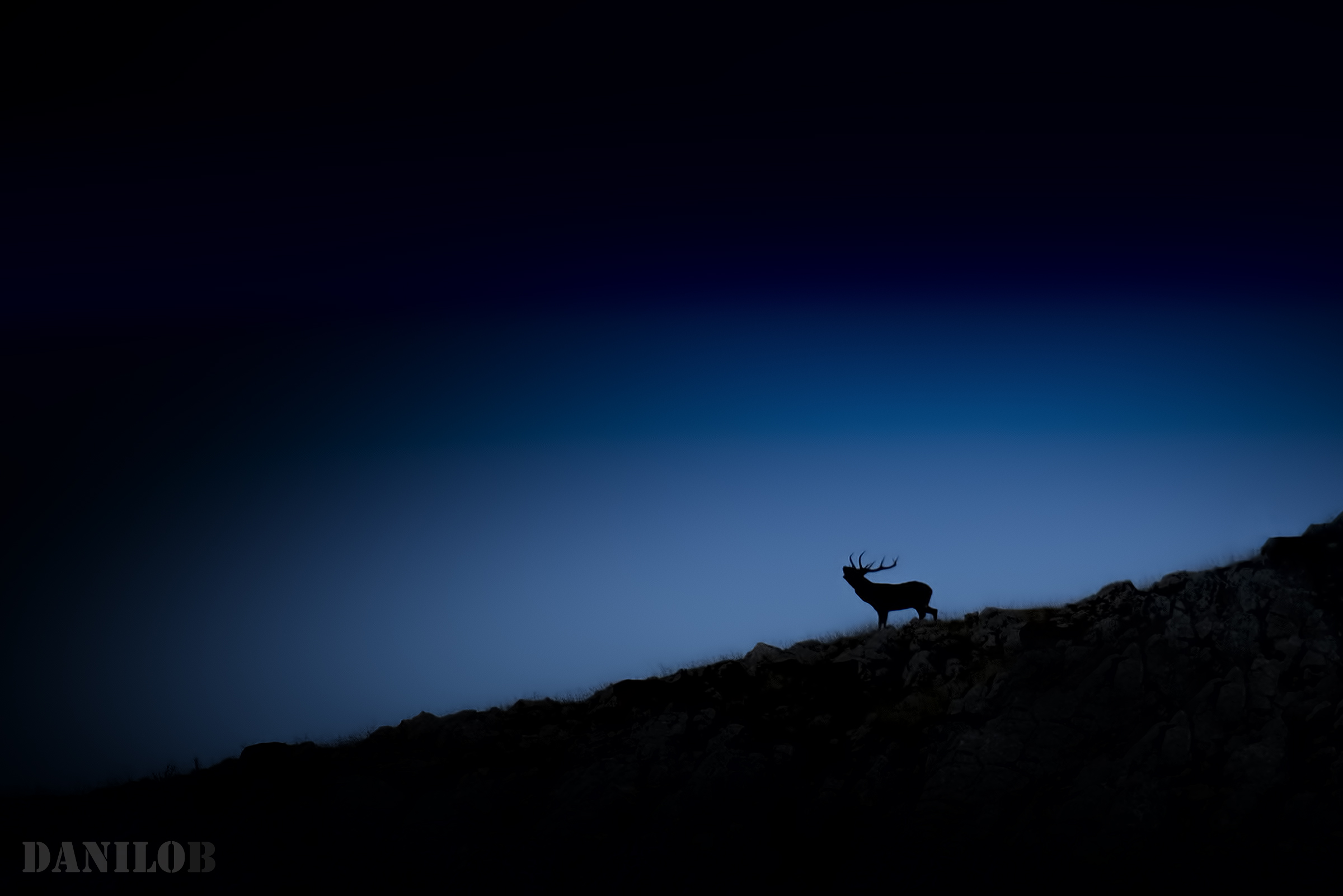 ...all'imbrunire una sagoma...